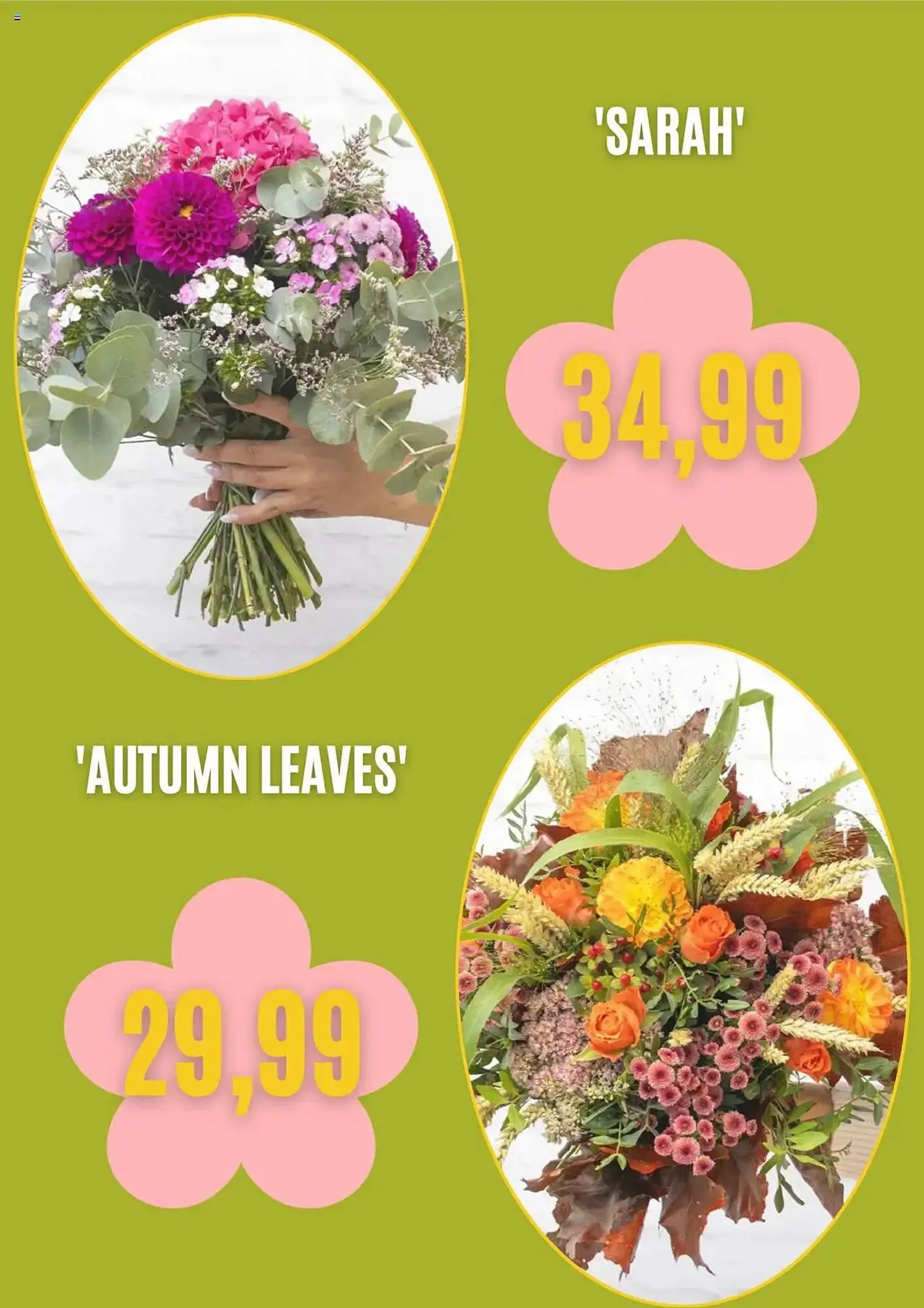 Blumen Risse Prospekt von 4. Oktober bis 4. November 2025 - Prospekt seite 5