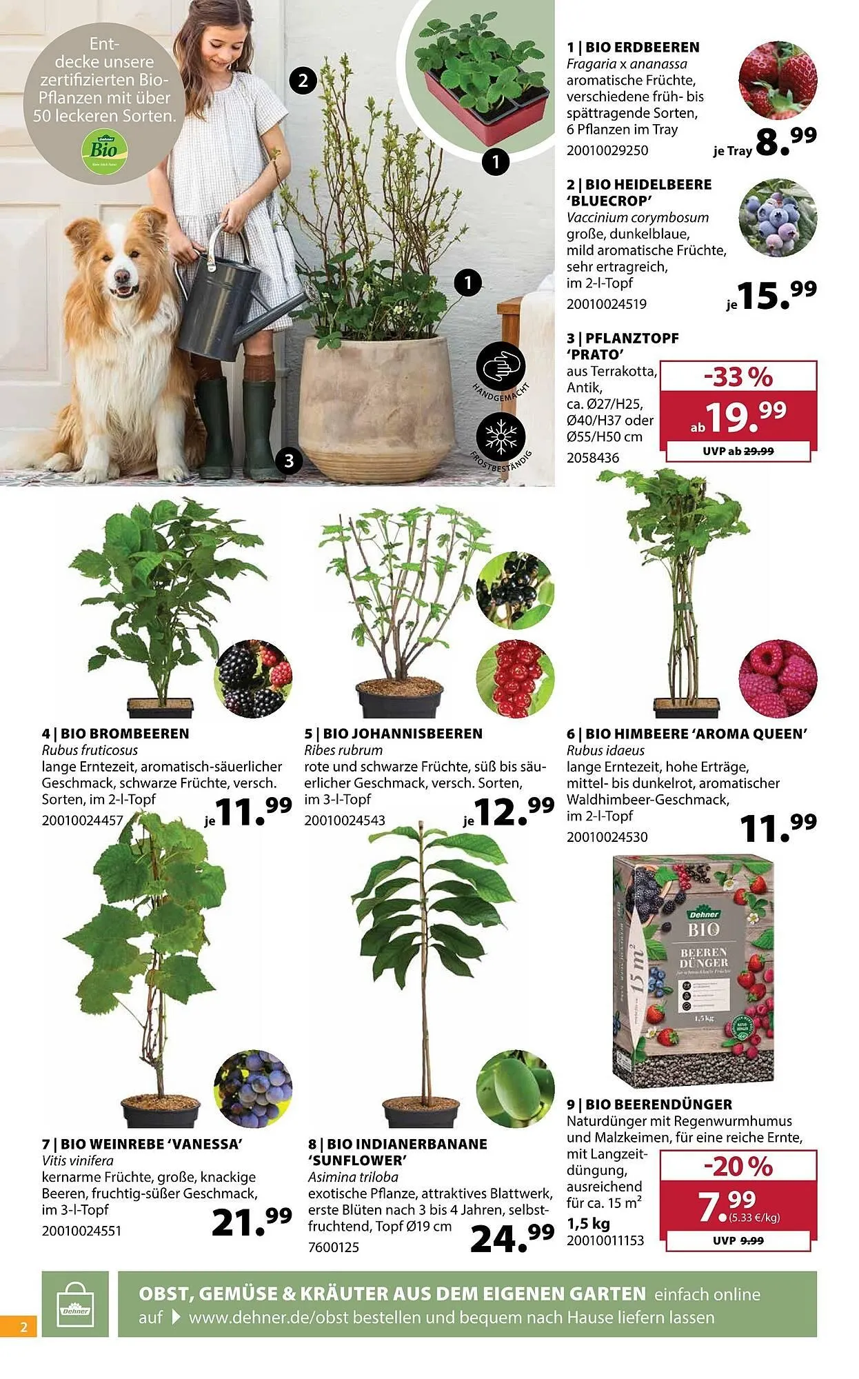 Dehner Prospekt von 8. April bis 13. April 2026 - Prospekt seite 2