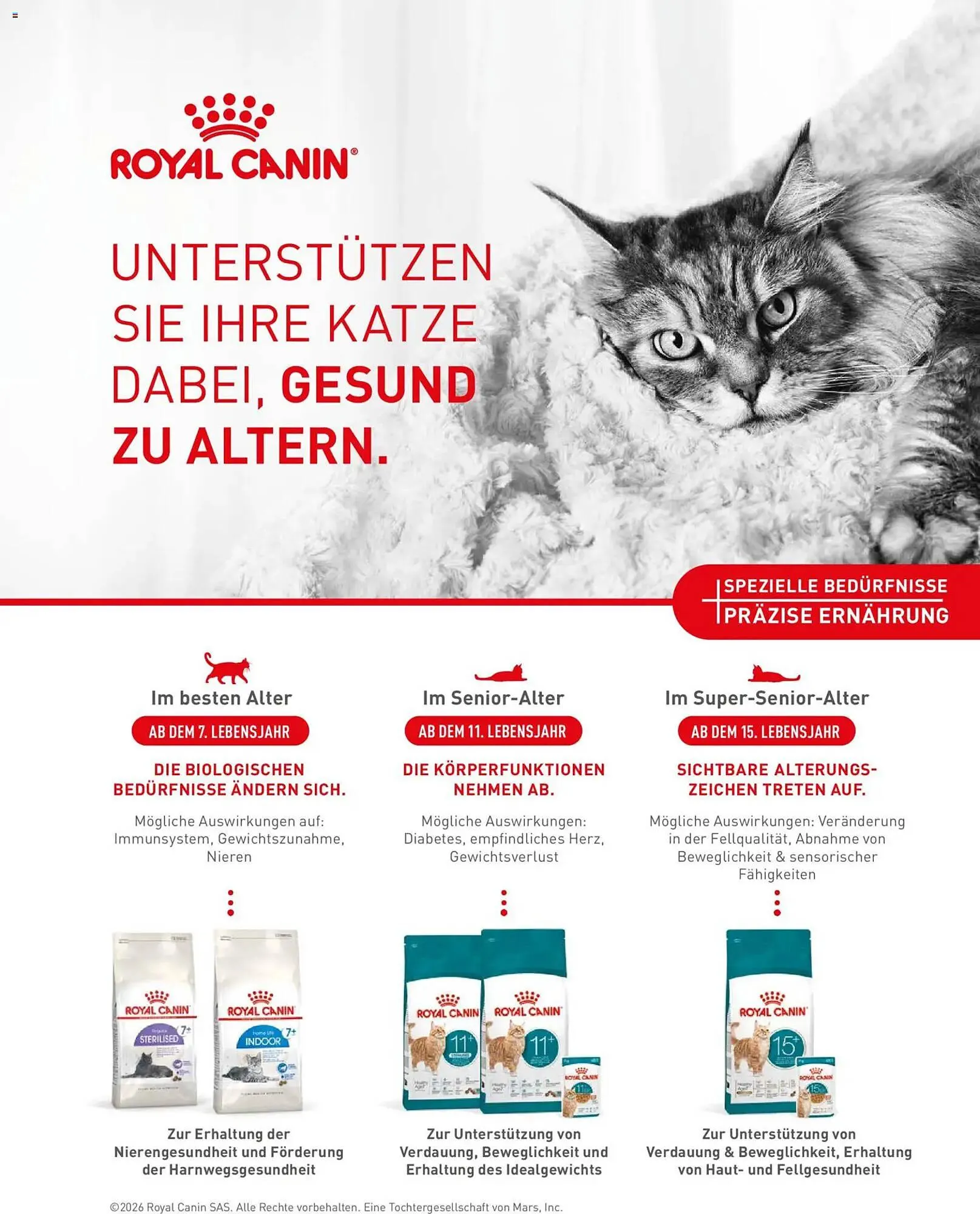 Fressnapf Magazin von 2. März bis 30. April 2026 - Prospekt seite 32