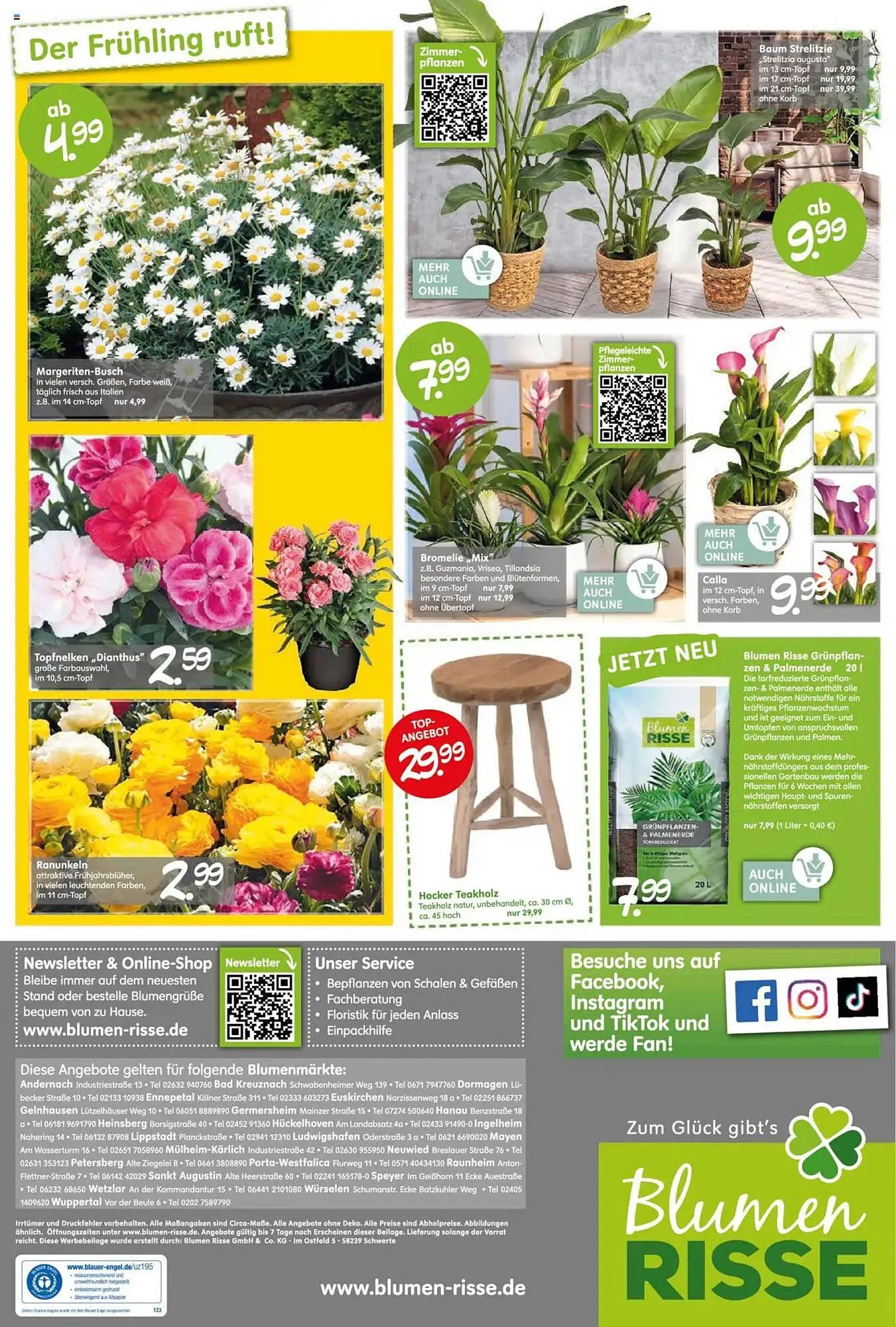 Blumen Risse Prospekt von 27. März bis 6. April 2025 - Prospekt seite 8