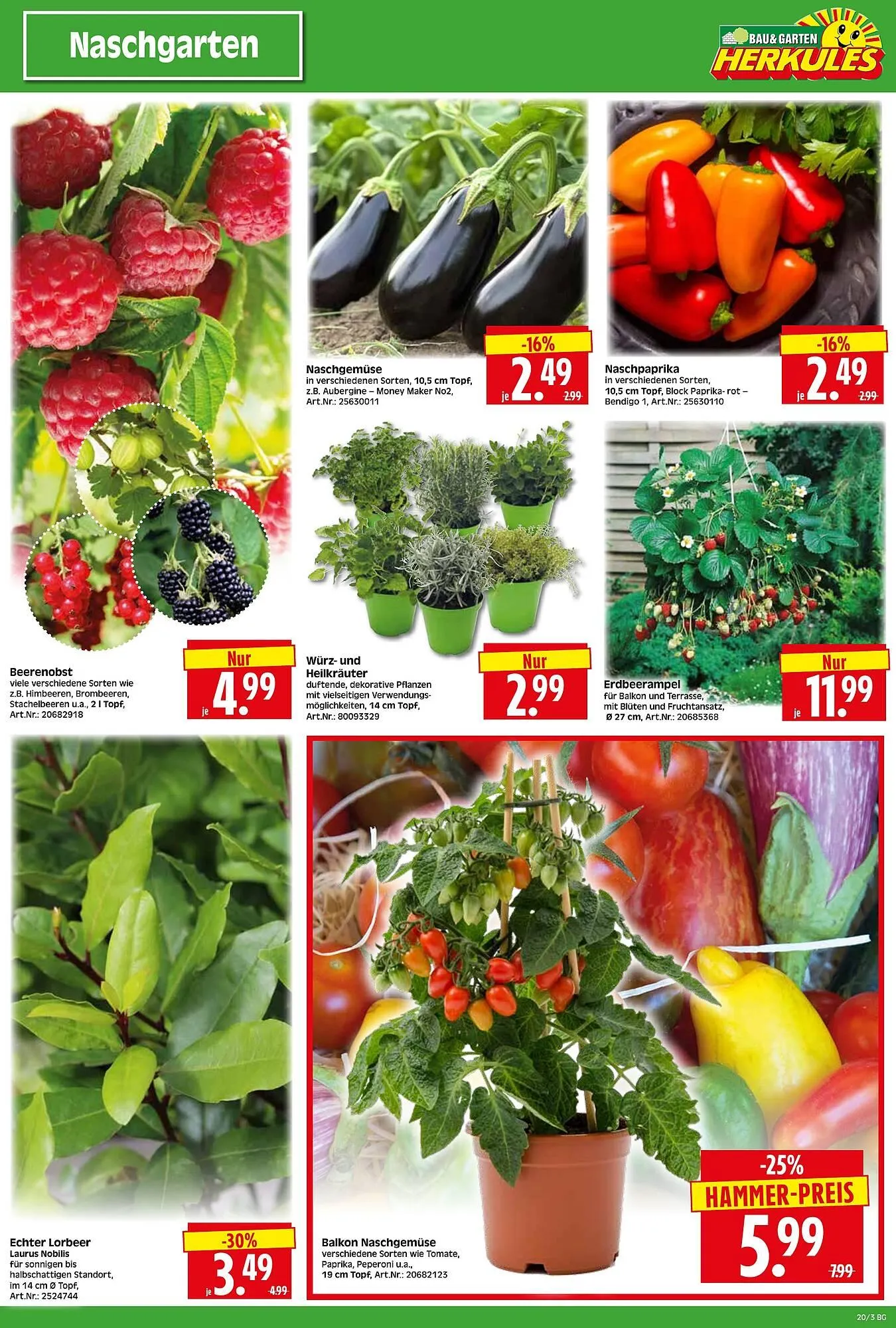 Herkules Baumarkt Prospekt von 12. Mai bis 17. Mai 2025 - Prospekt seite 3