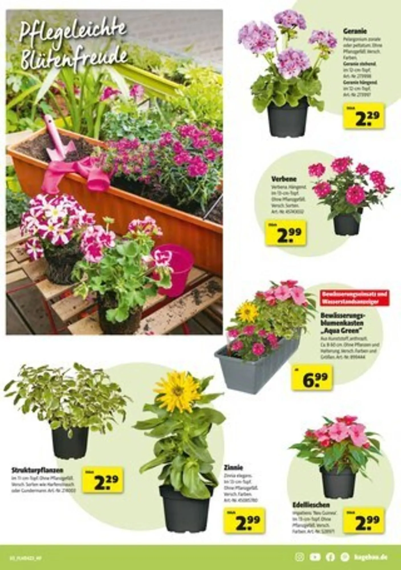 Hagebau Prospekt von 31. Mai bis 7. Juni 2025 - Prospekt seite 3