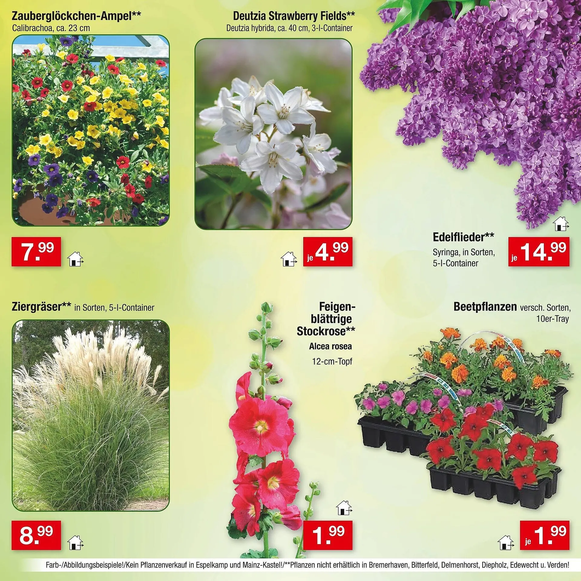 Zimmermann Prospekt von 14. April bis 19. April 2025 - Prospekt seite 31