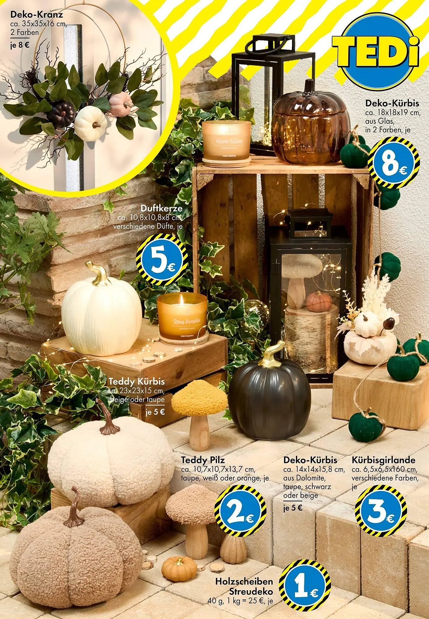 TEDi Prospekt von 1. August bis 9. August 2025 - Prospekt seite 26