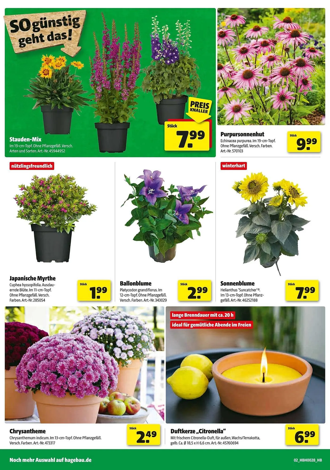 Hagebau Prospekt von 5. Juli bis 13. Juli 2025 - Prospekt seite 2