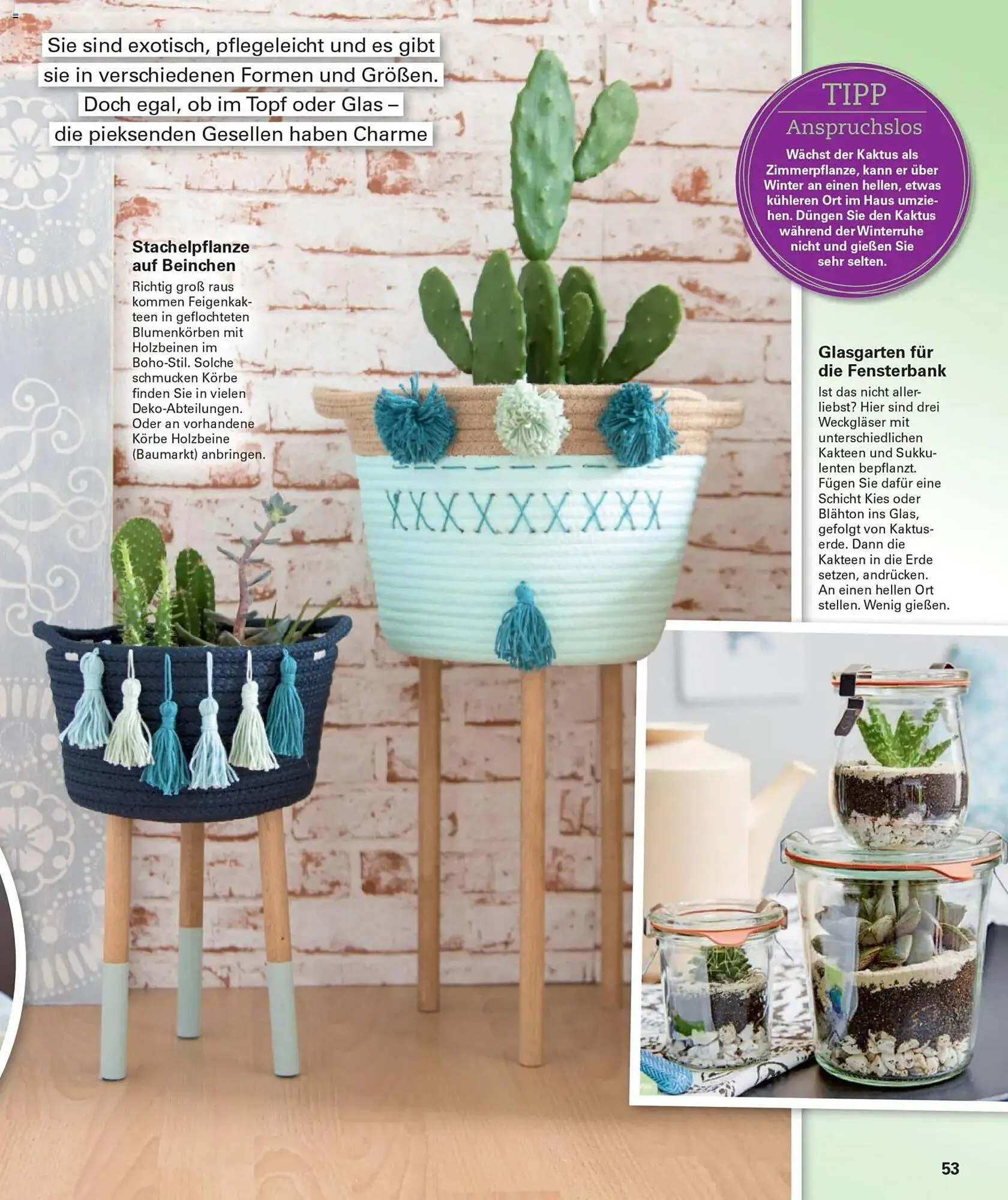 Poco Magazin von 1. Dezember bis 28. Februar 2026 - Prospekt seite 53