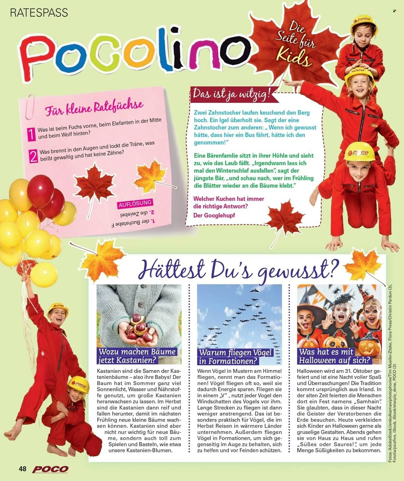 Poco Magazin von 1. September bis 30. November 2025 - Prospekt seite 48