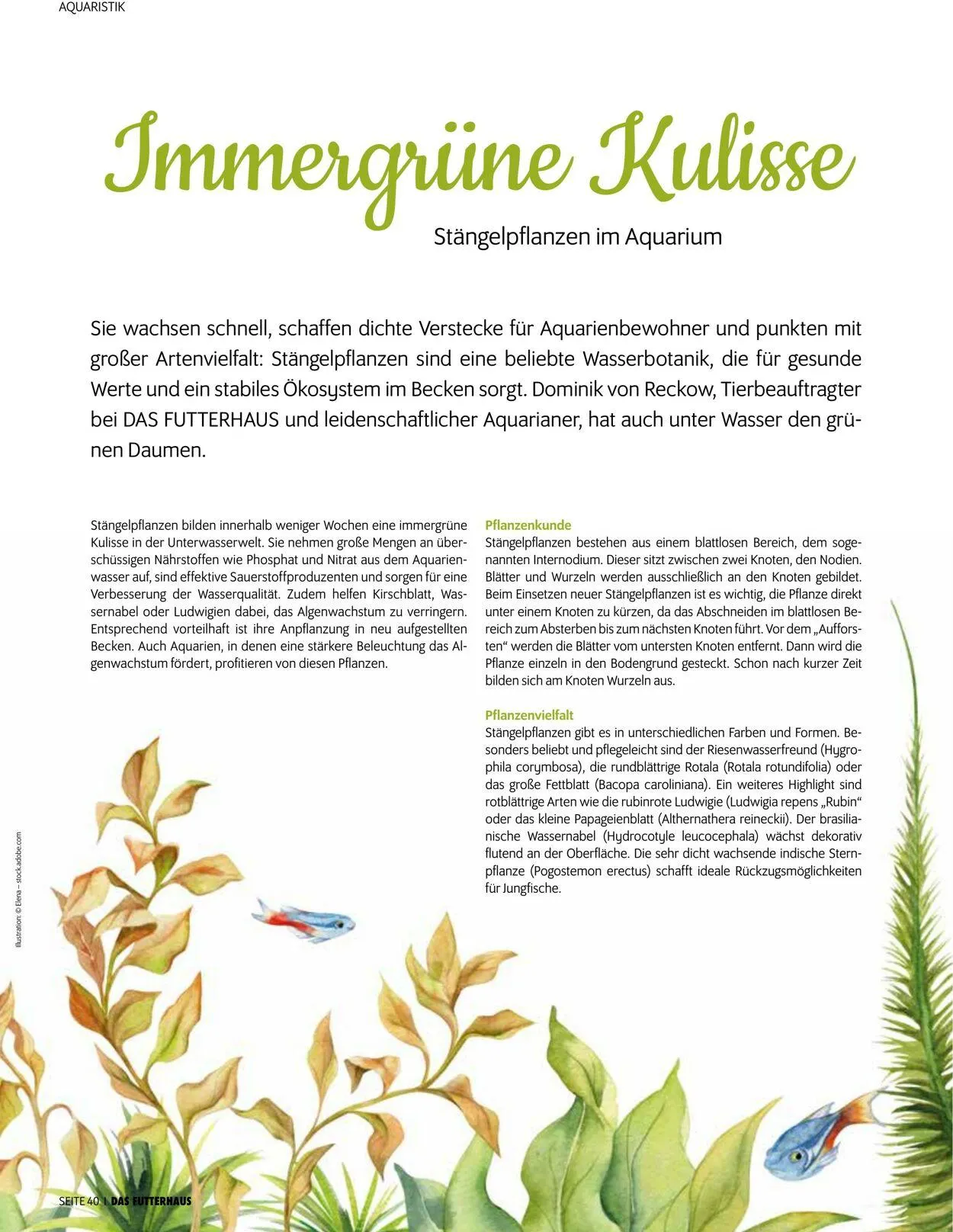 Futterhaus Aktueller Prospekt von 1. Oktober bis 31. Oktober 2025 - Prospekt seite 40