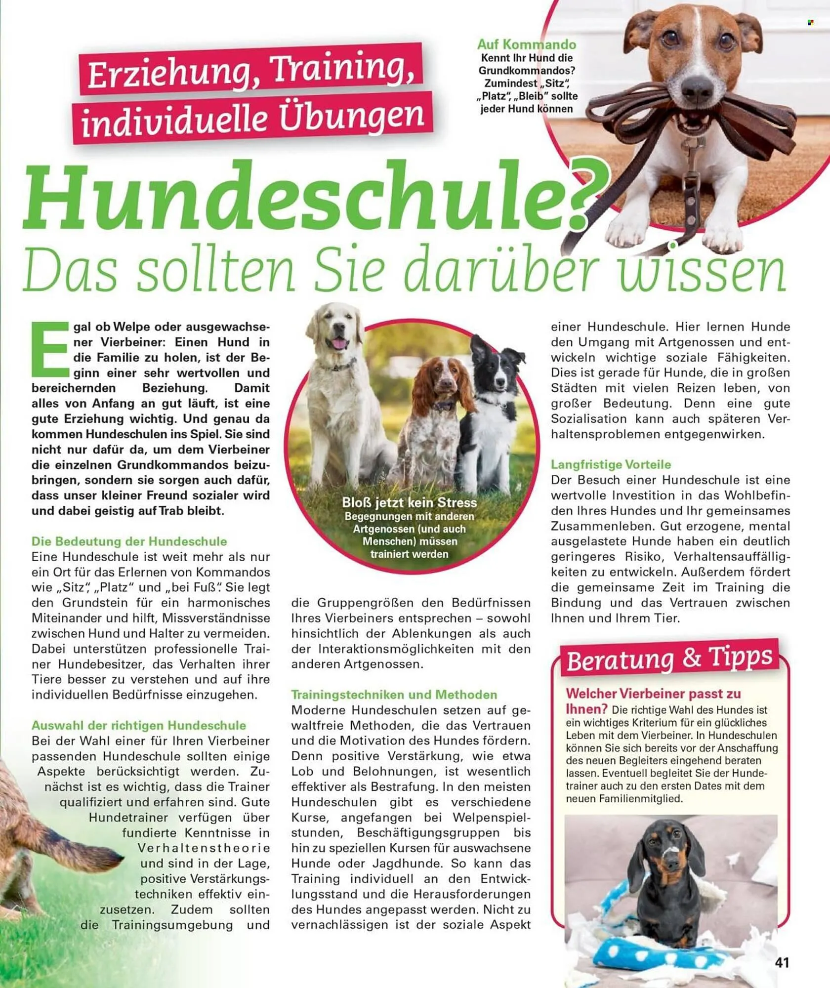 Poco Magazin von 16. Februar bis 31. Mai 2026 - Prospekt seite 41