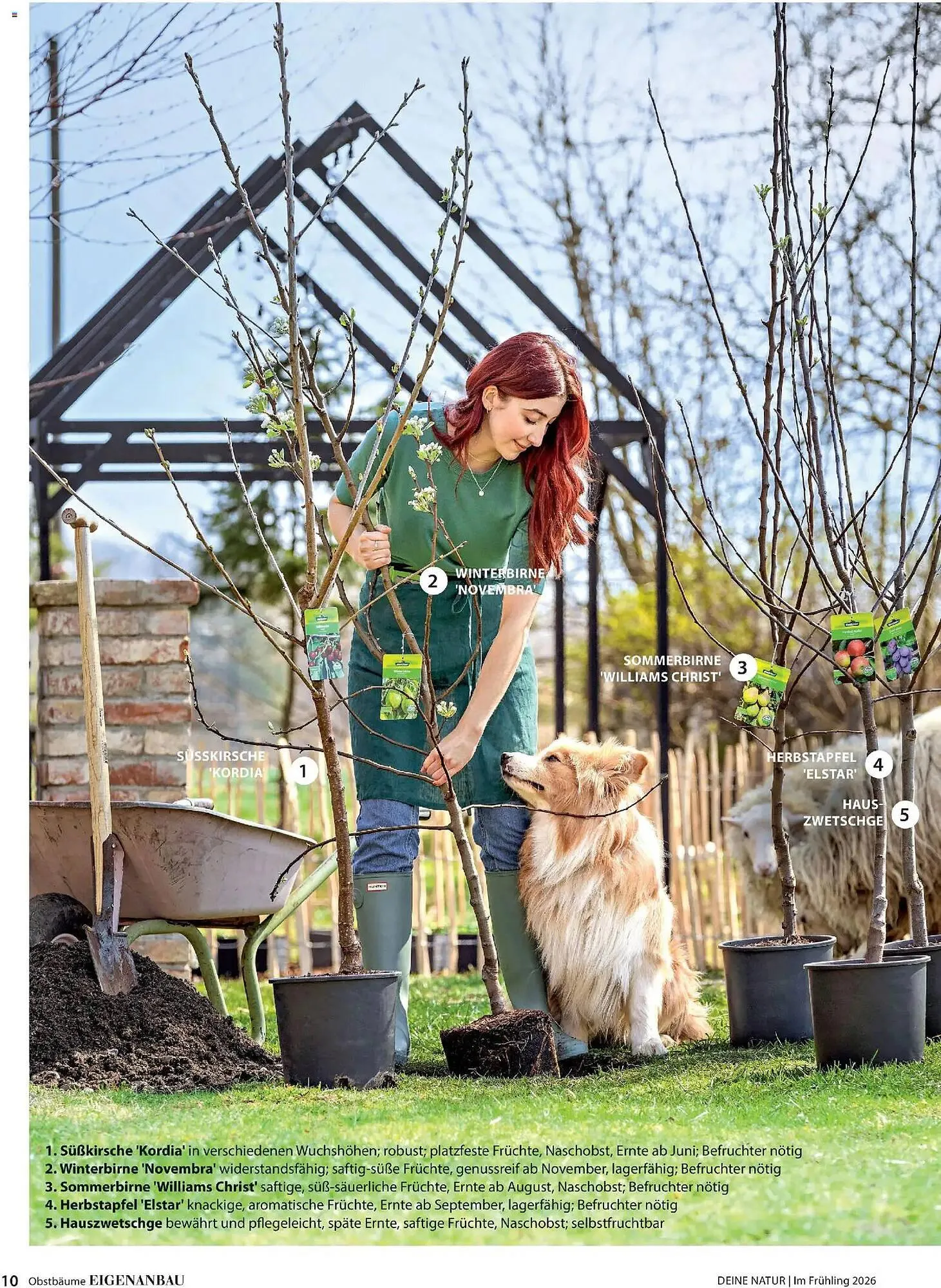 Dehner Prospekt von 4. März bis 31. Mai 2026 - Prospekt seite 10