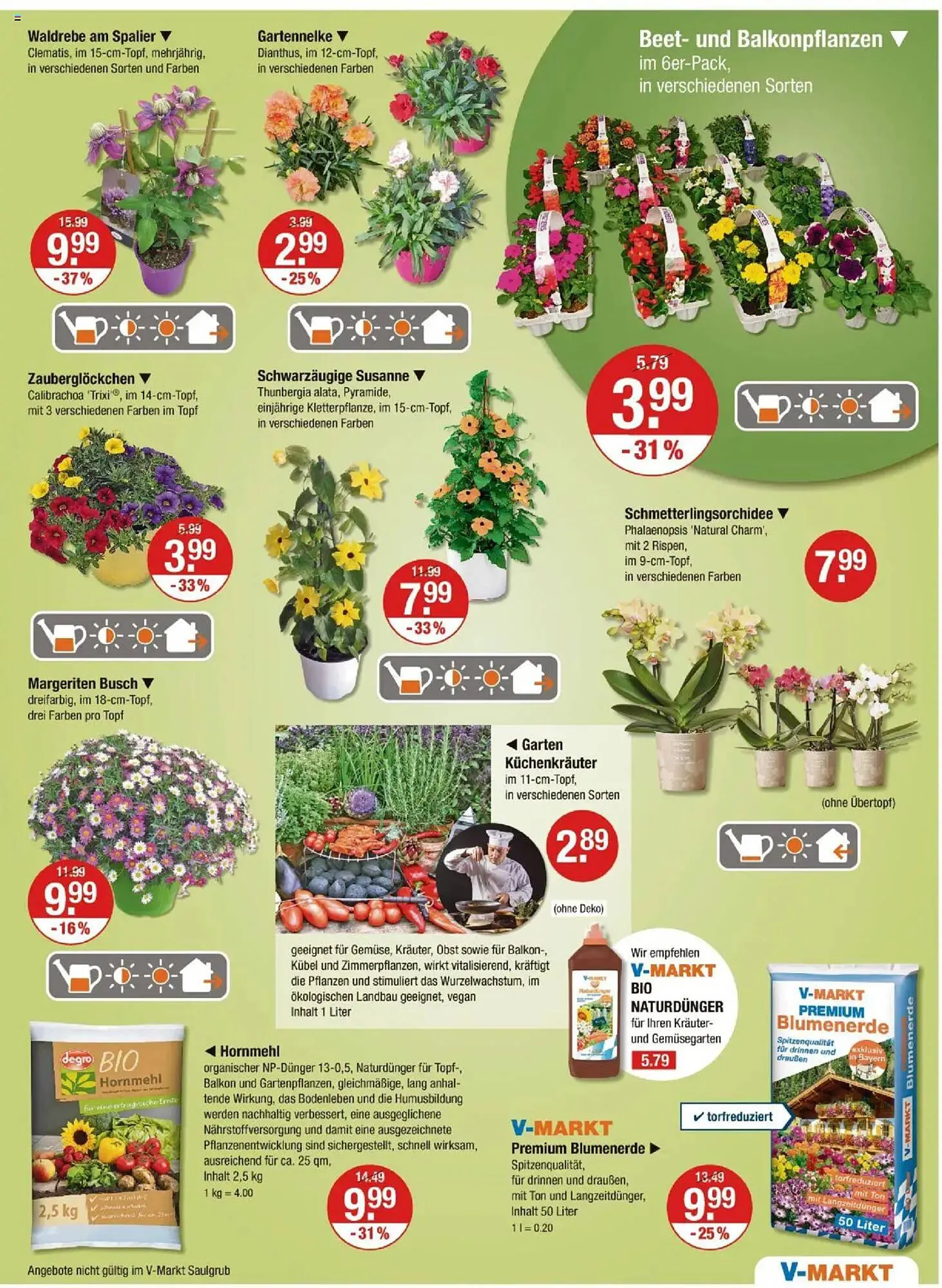 V Markt Prospekt von 17. April bis 23. April 2025 - Prospekt seite 21