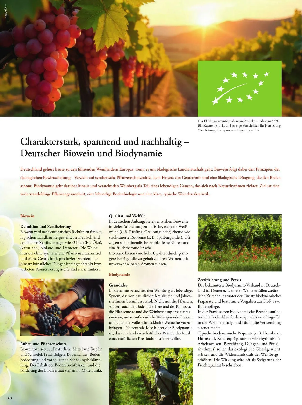 Tegut von 8. Dezember bis 14. Dezember 2025 - Prospekt seite 30