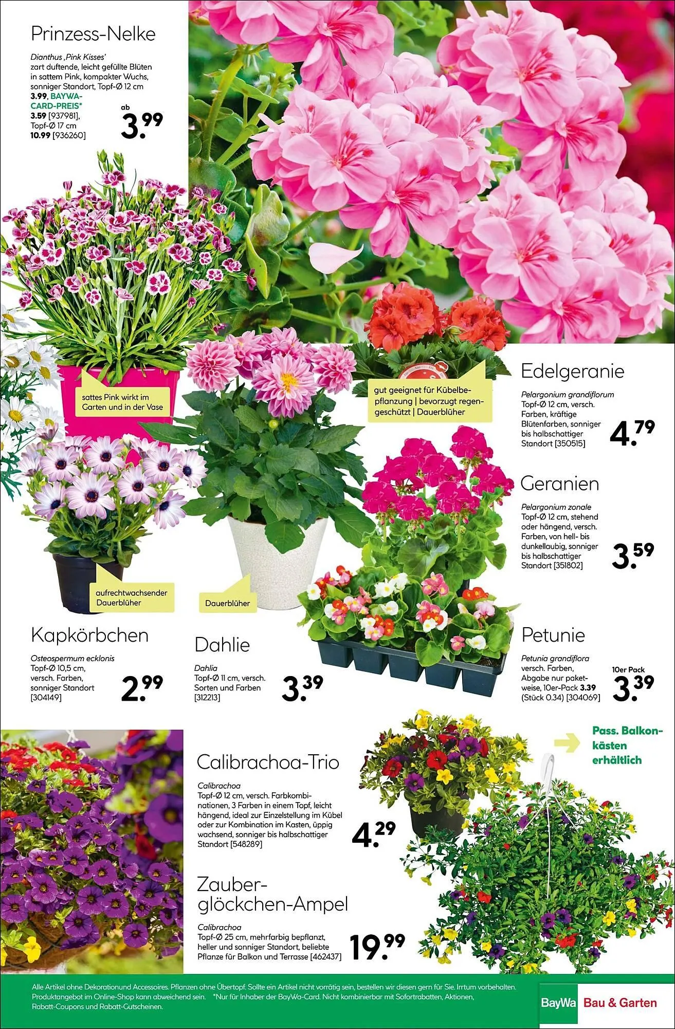 BayWa Prospekt von 31. März bis 6. April 2025 - Prospekt seite 39