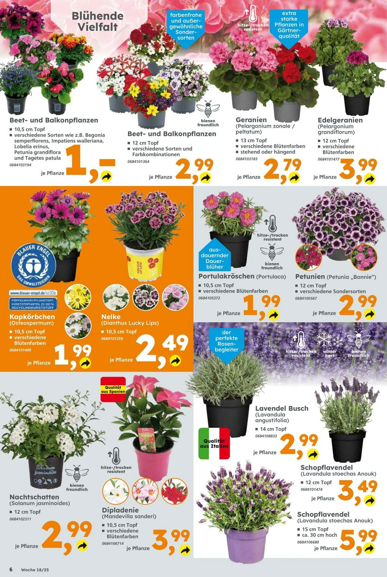 Globus Baumarkt Aktueller Prospekt von 27. April bis 3. Mai 2025 - Prospekt seite 6