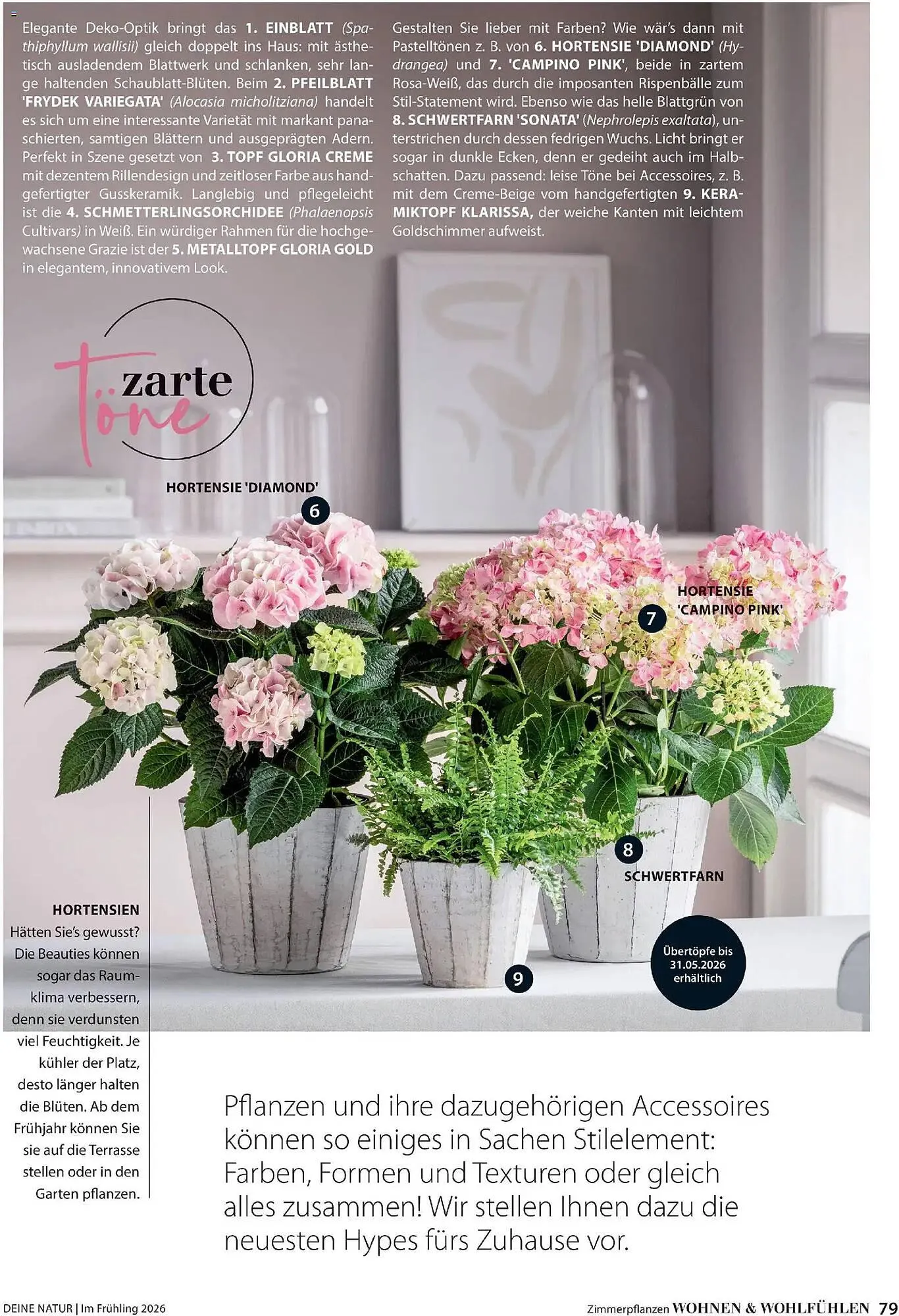 Dehner Prospekt von 4. März bis 31. Mai 2026 - Prospekt seite 79
