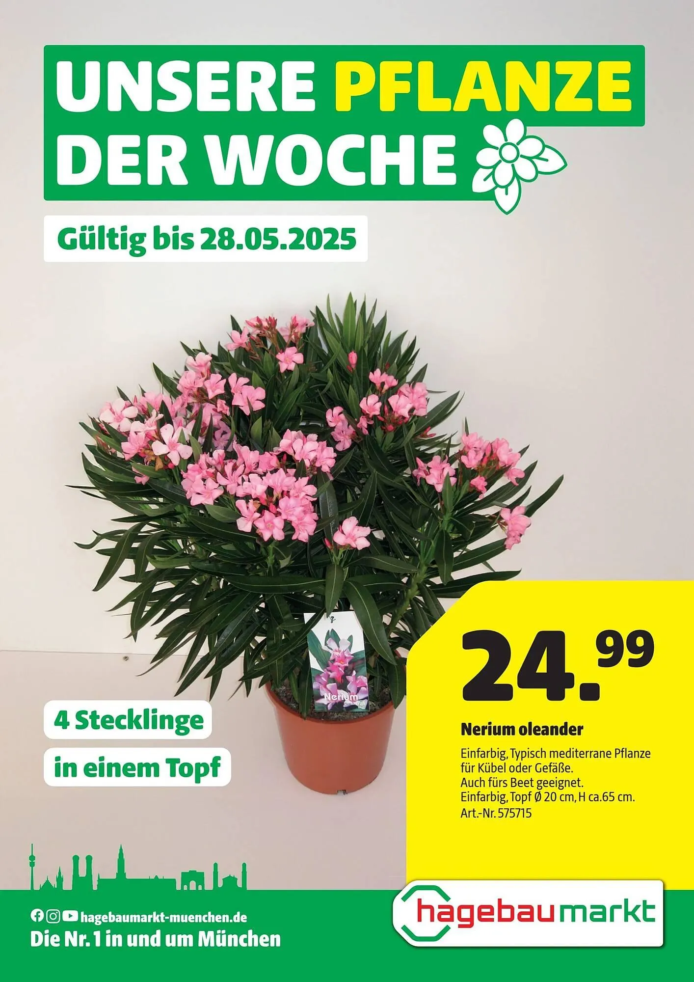 Hagebau Prospekt von 22. Mai bis 29. Mai 2025 - Prospekt seite 1