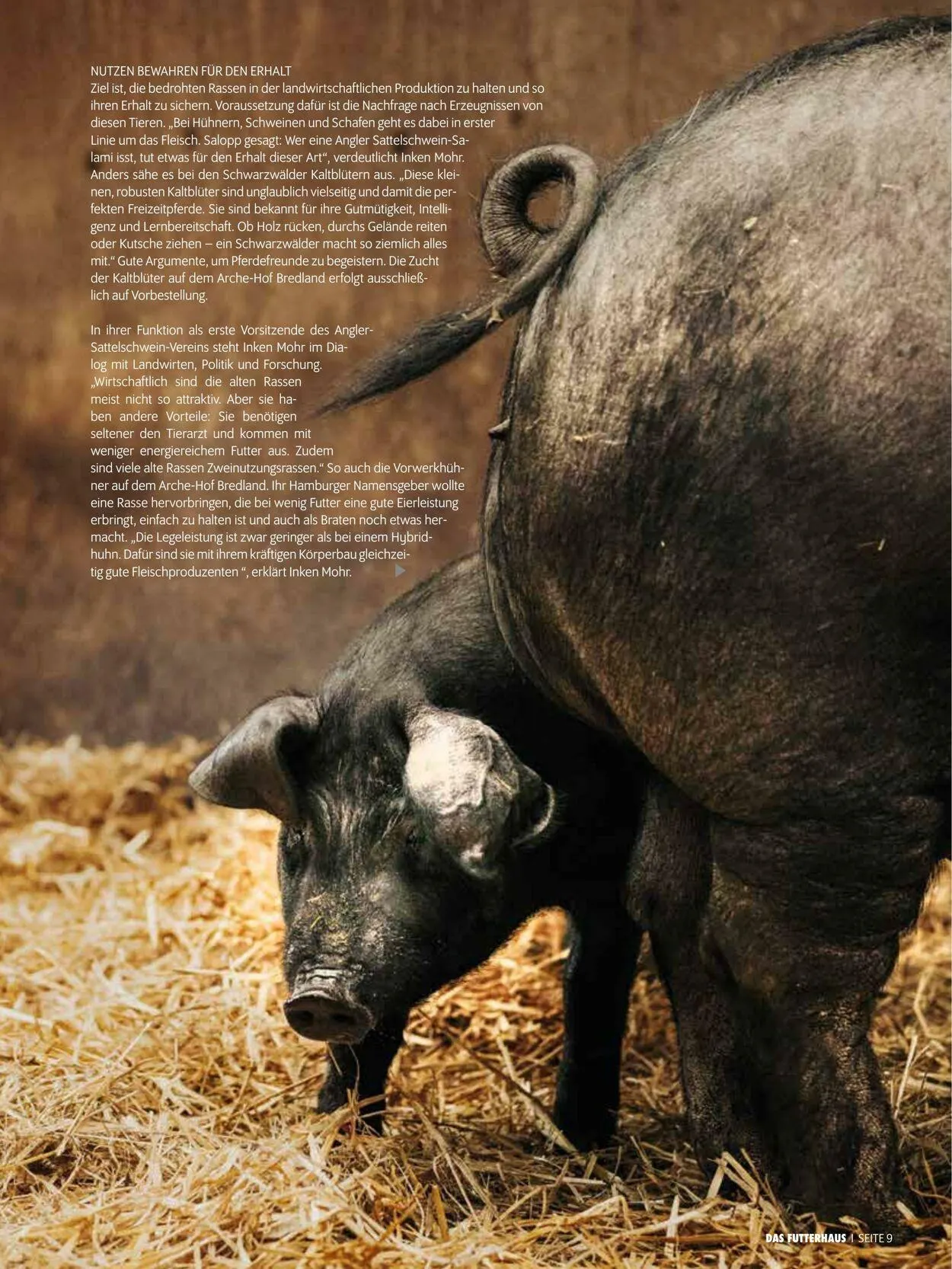 Futterhaus Aktueller Prospekt von 1. Oktober bis 31. Oktober 2025 - Prospekt seite 9