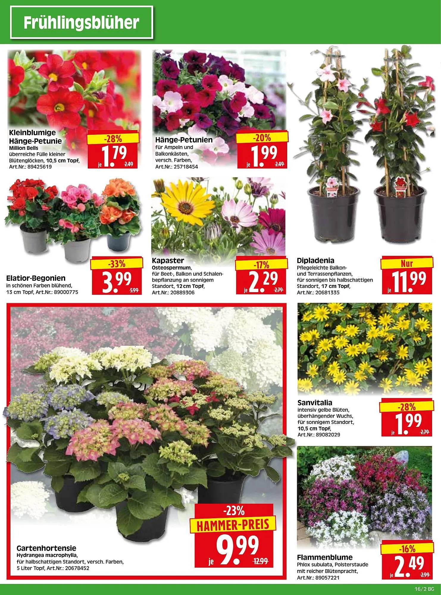 Herkules Baumarkt Prospekt von 14. April bis 19. April 2025 - Prospekt seite 2