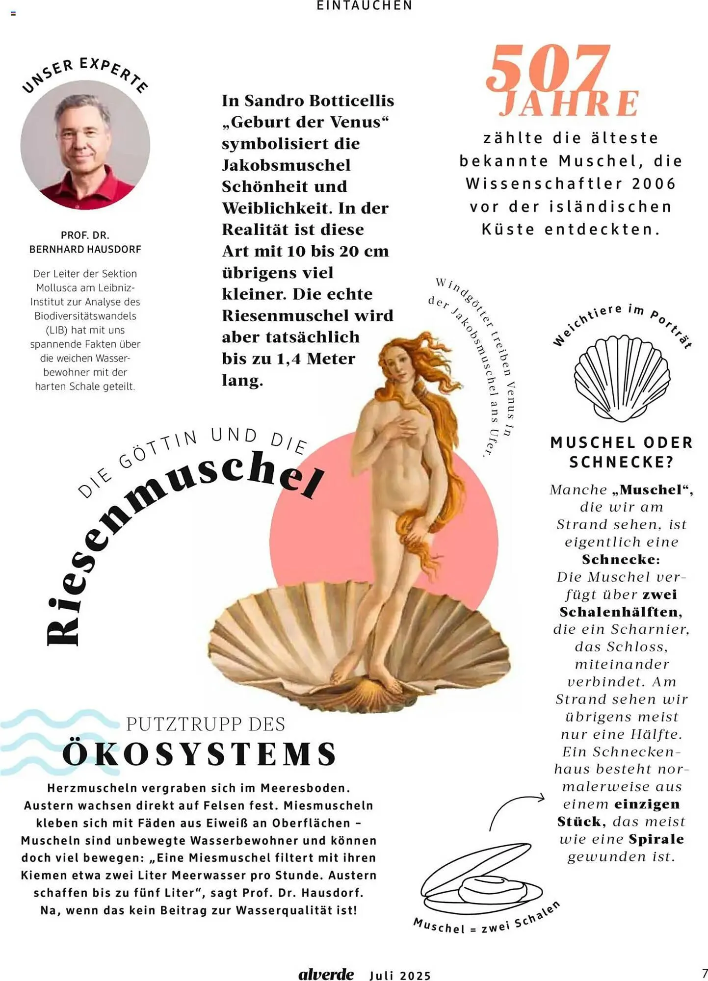 dm drogerie Prospekt von 1. Juli bis 31. Juli 2025 - Prospekt seite 7