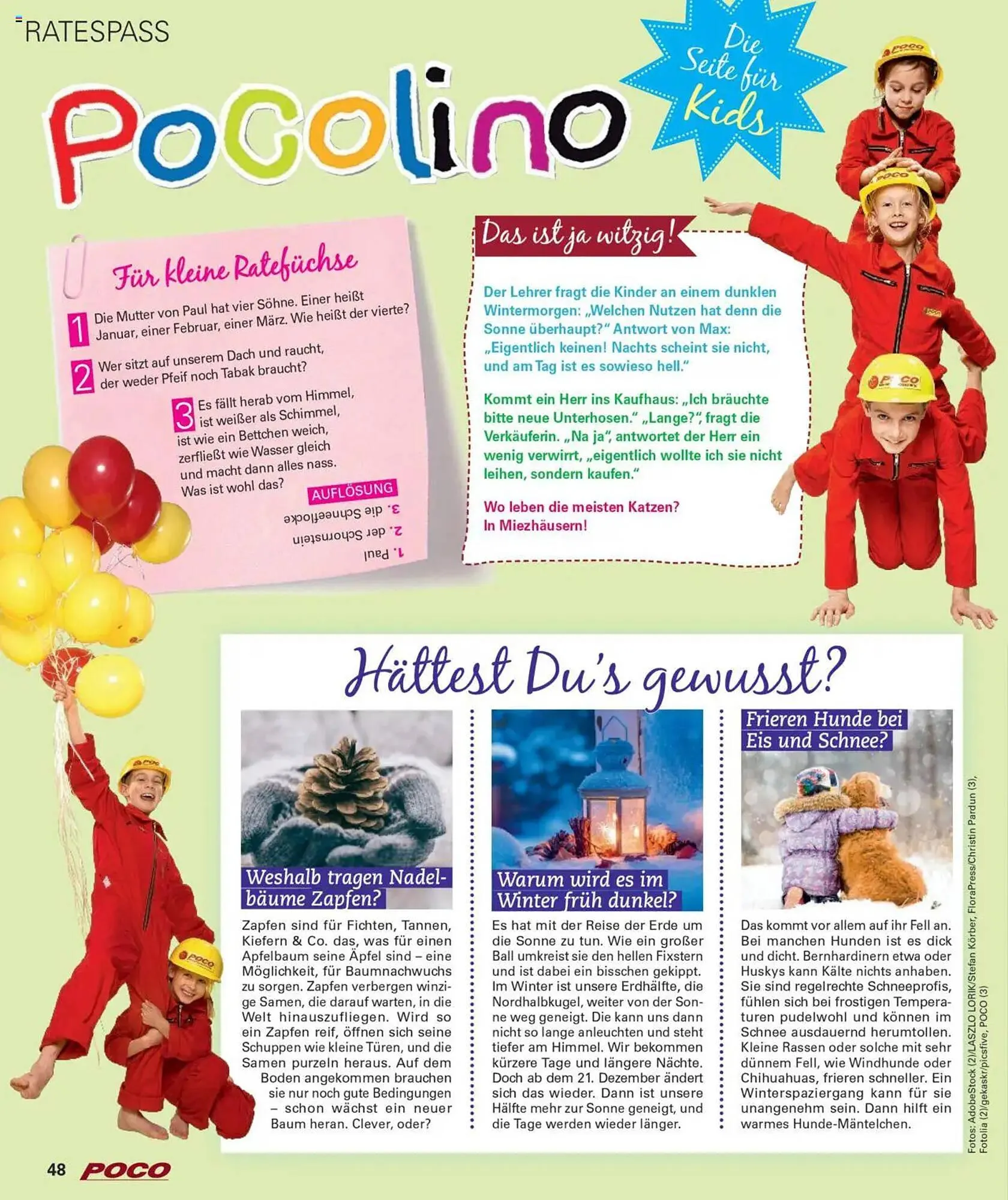 POCO Prospekt von 27. Dezember bis 3. Januar 2026 - Prospekt seite 48