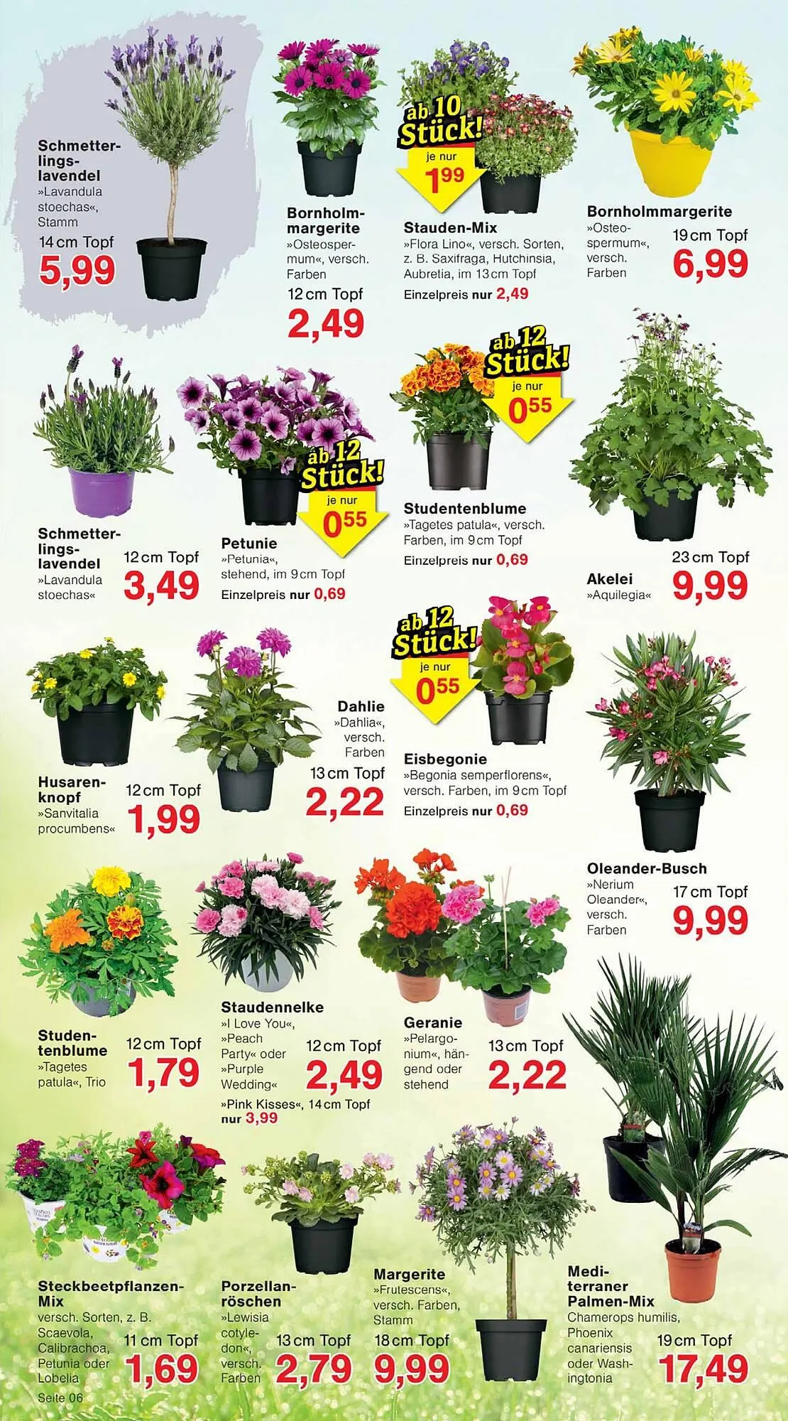 Wiglo Wunderland Prospekt von 27. April bis 2. Mai 2026 - Prospekt seite 6