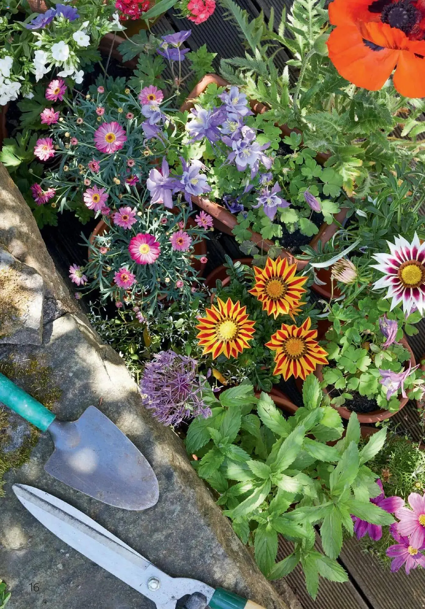 Rossmann Prospekt von 1. August bis 31. August 2025 - Prospekt seite 16