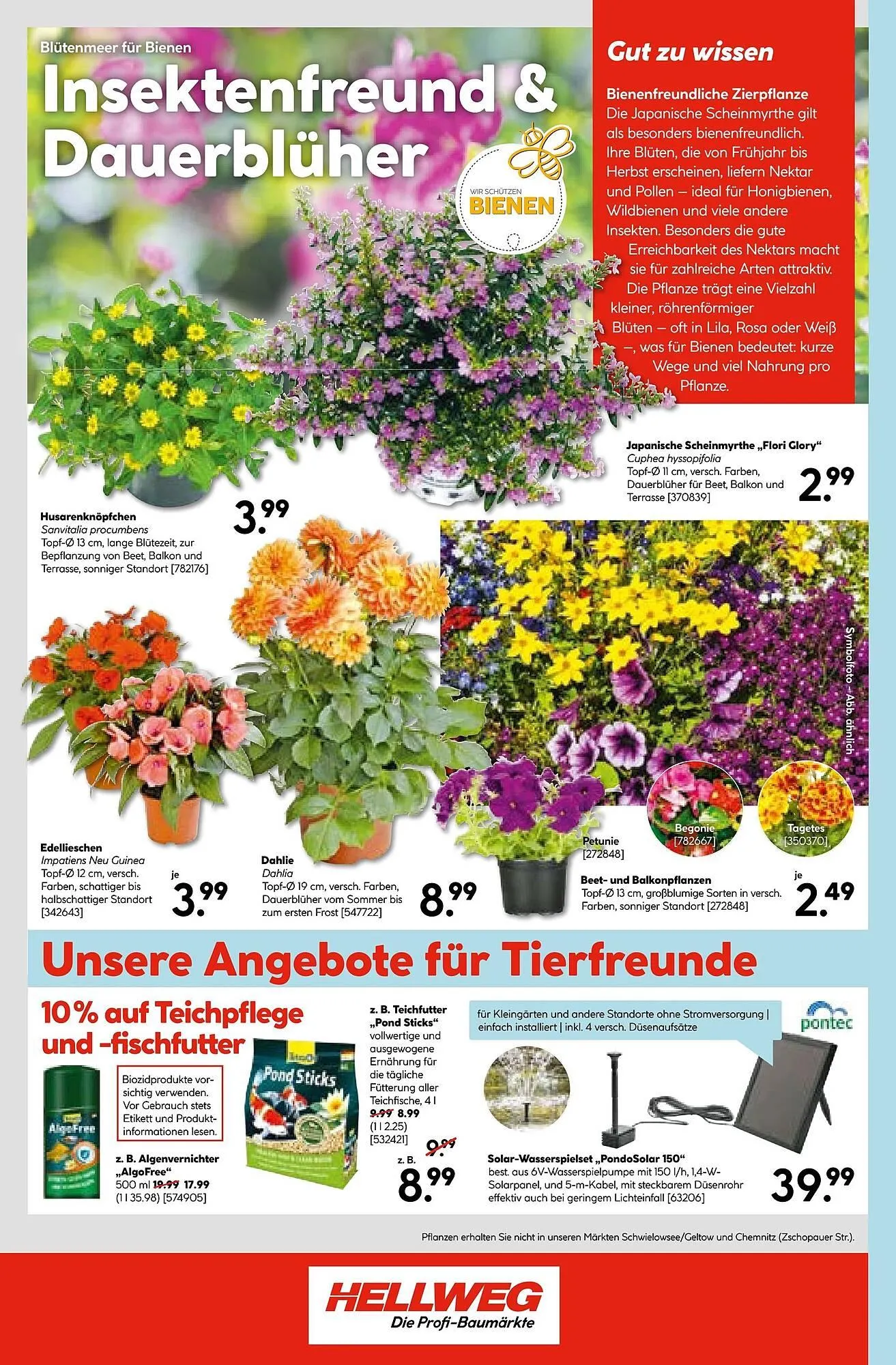 Hellweg Prospekt von 26. Mai bis 1. Juni 2025 - Prospekt seite 24