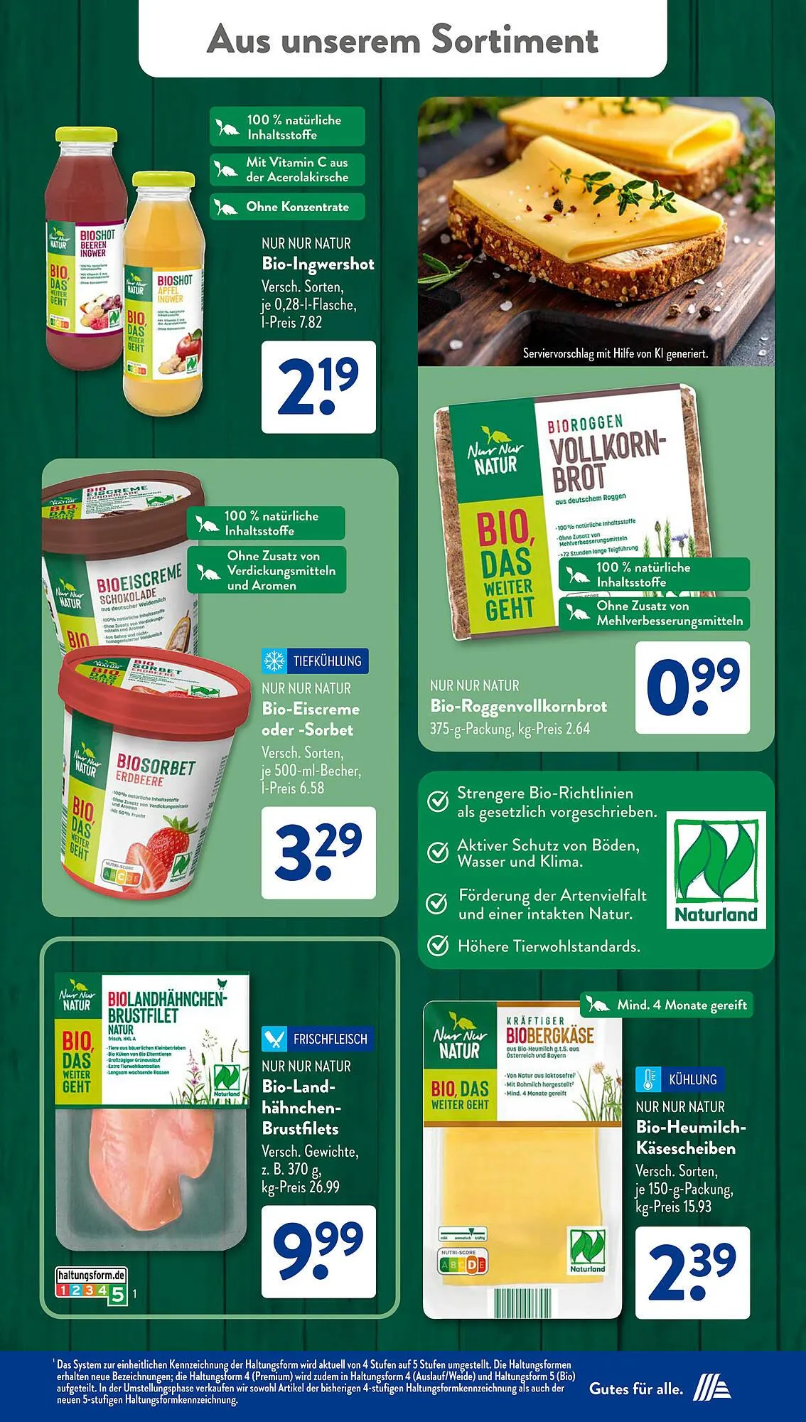 Aldi Süd Prospekt von 11. August bis 16. August 2025 - Prospekt seite 31