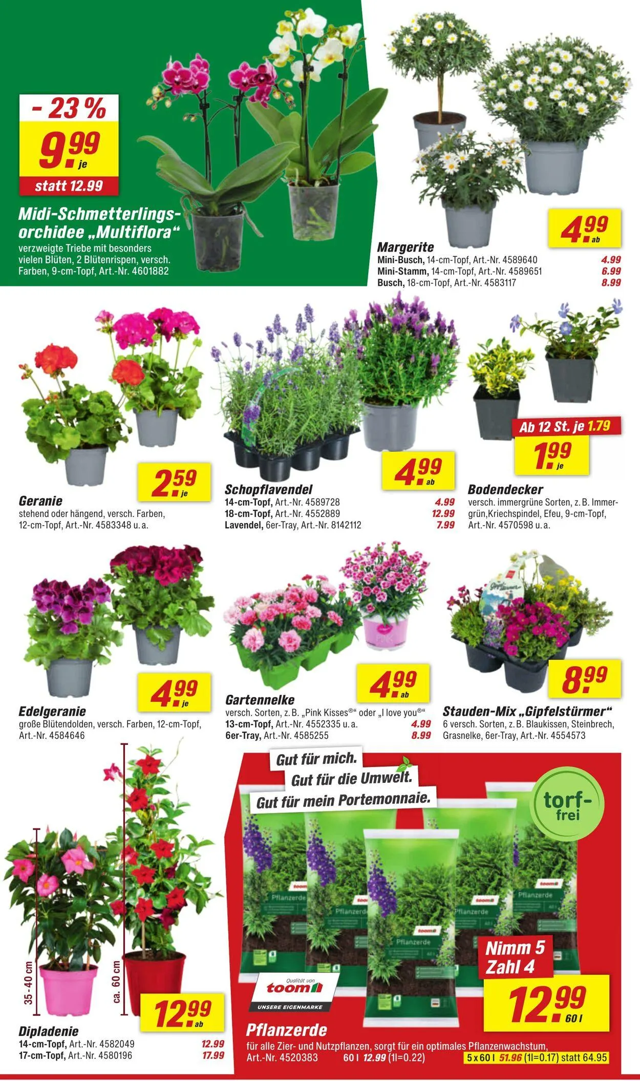 toom Baumarkt Aktueller Prospekt von 21. Juli bis 4. August 2025 - Prospekt seite 8