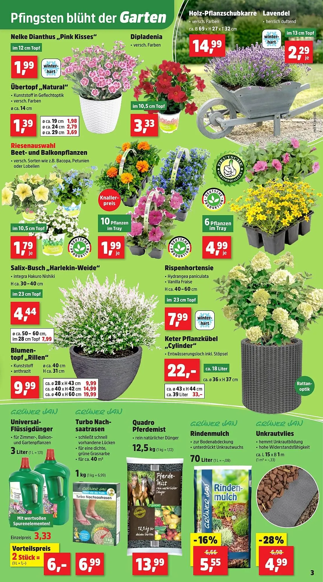 Thomas Philipps Prospekt von 18. Mai bis 23. Mai 2026 - Prospekt seite 5