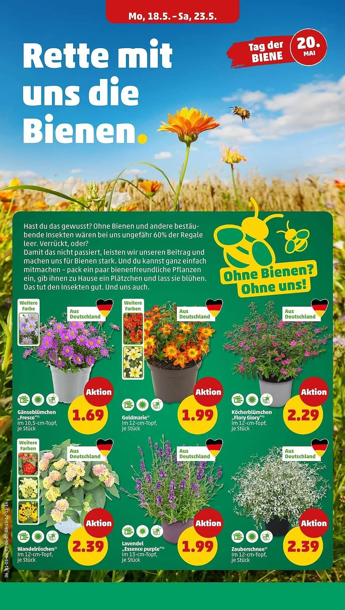 PENNY Prospekt von 18. Mai bis 24. Mai 2026 - Prospekt seite 6