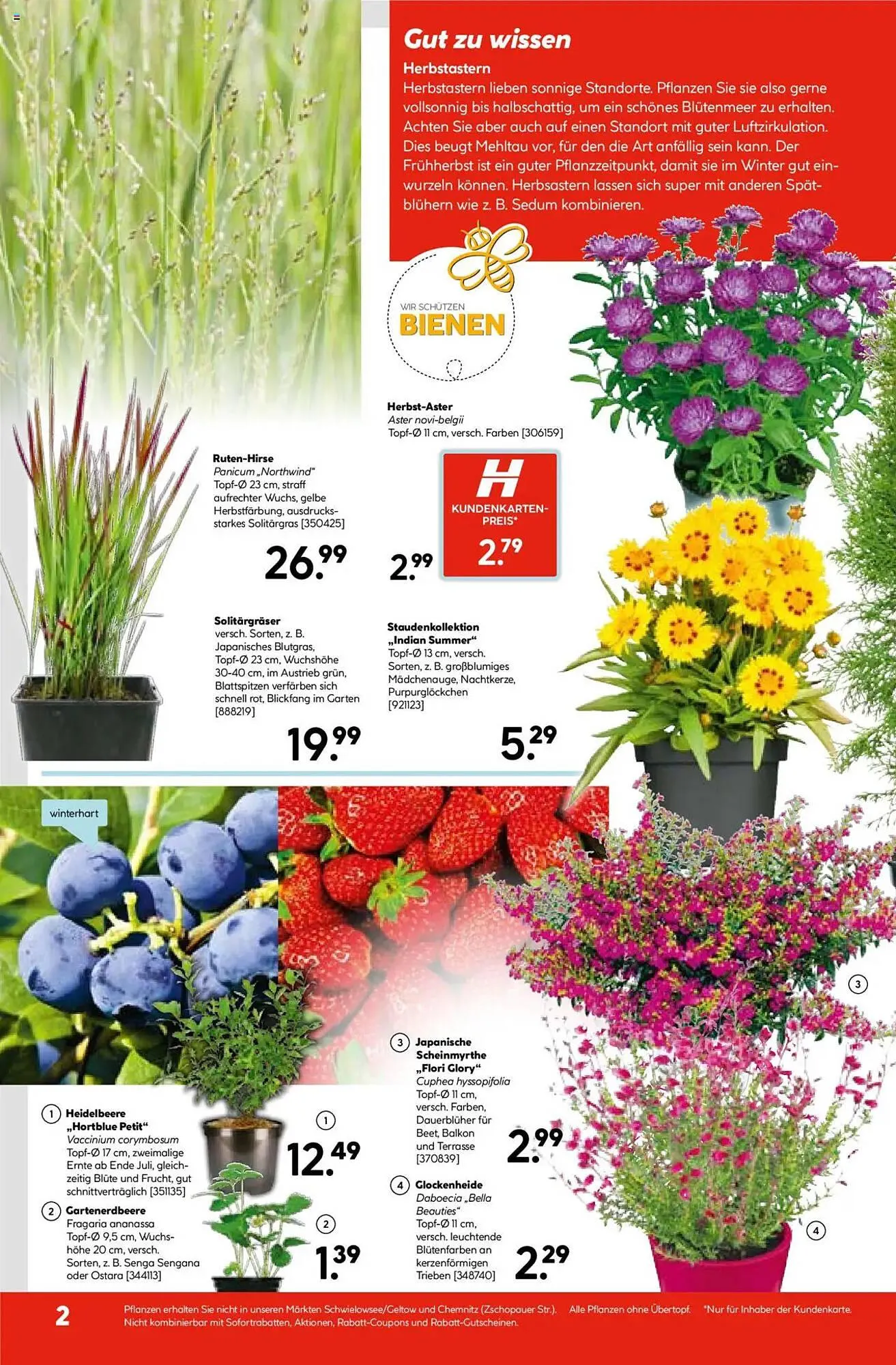 Hellweg Prospekt von 4. August bis 9. August 2025 - Prospekt seite 2