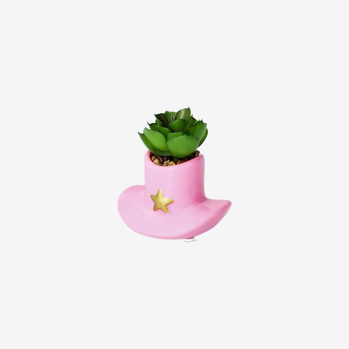 Succulent cowboy hat plant pot