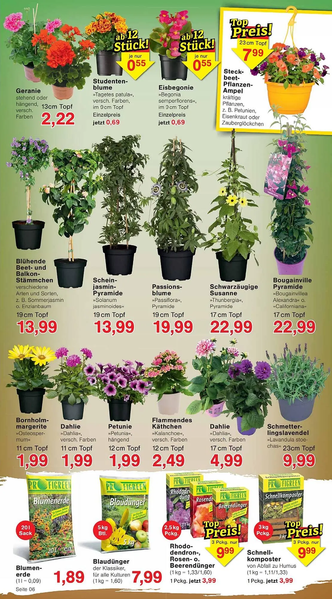 Wiglo Wunderland Prospekt von 20. April bis 25. April 2026 - Prospekt seite 6