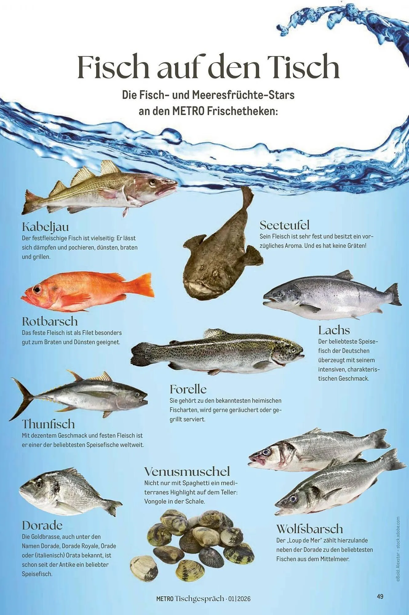 METRO Prospekt von 1. Februar bis 28. Februar 2026 - Prospekt seite 49