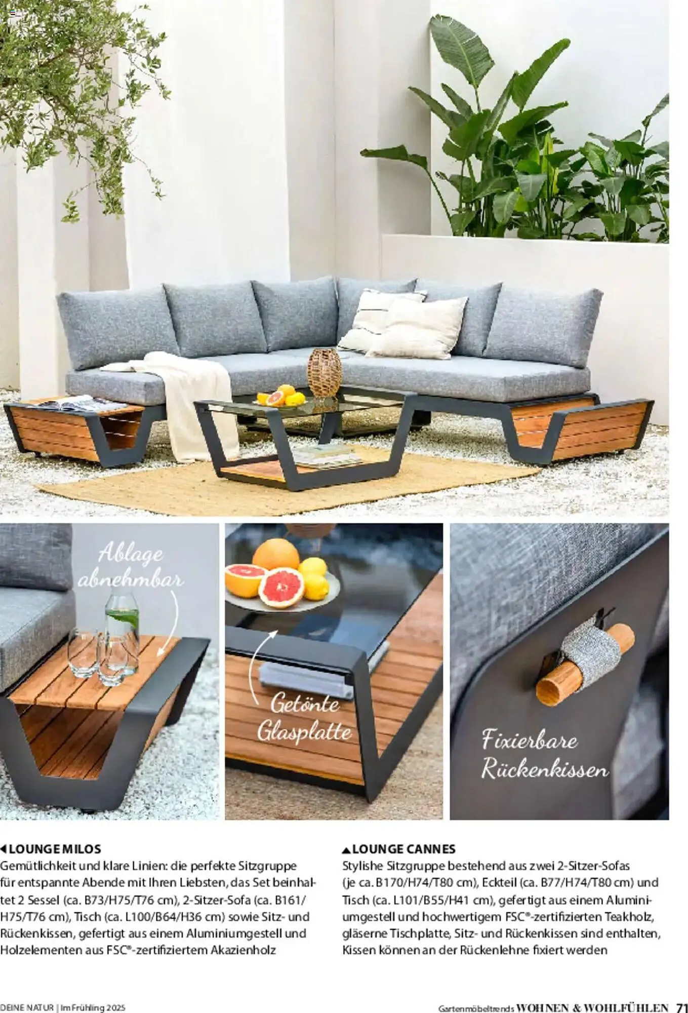 Dehner Prospekt von 6. März bis 9. Juni 2025 - Prospekt seite 71