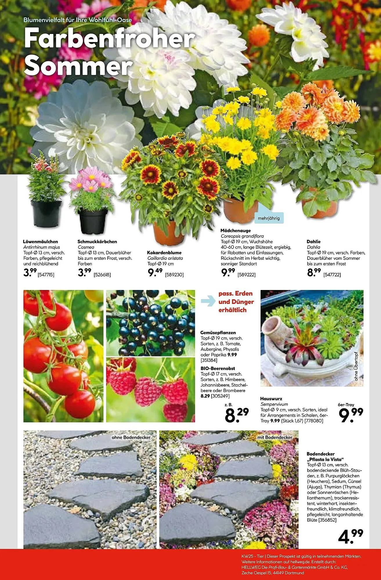 Hellweg Prospekt von 16. Juni bis 21. Juni 2025 - Prospekt seite 21