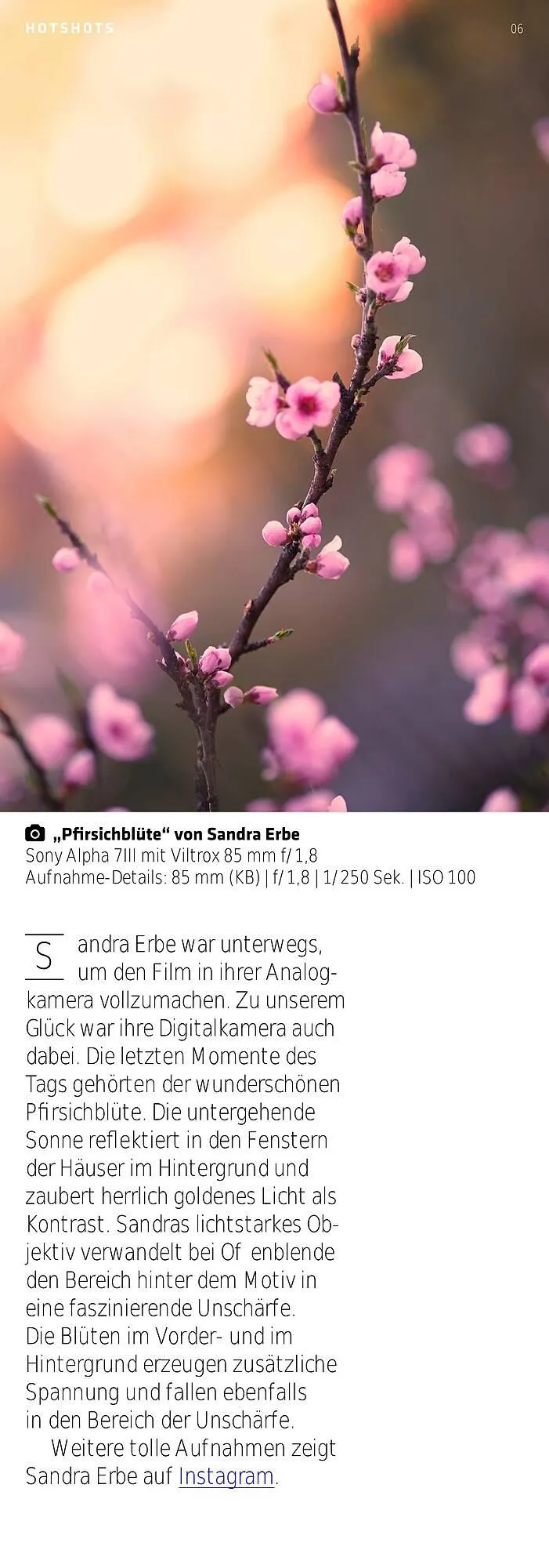 Fotoprofi Prospekt von 28. Juni bis 11. Juli 2025 - Prospekt seite 6