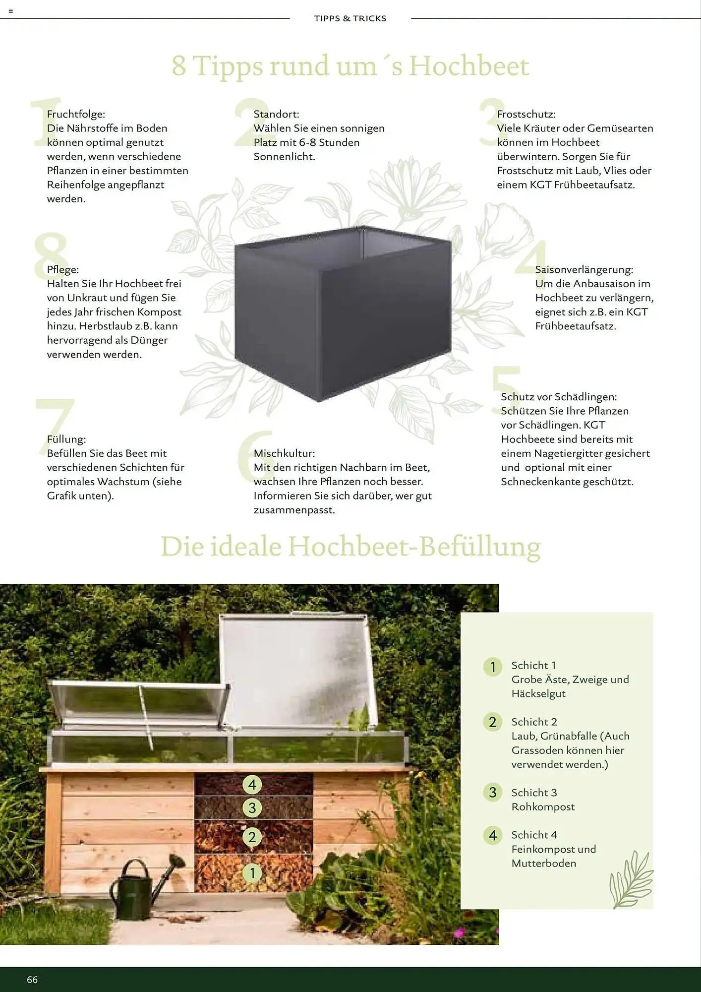 Dehner Prospekt von 1. Januar bis 31. Dezember 2026 - Prospekt seite 66