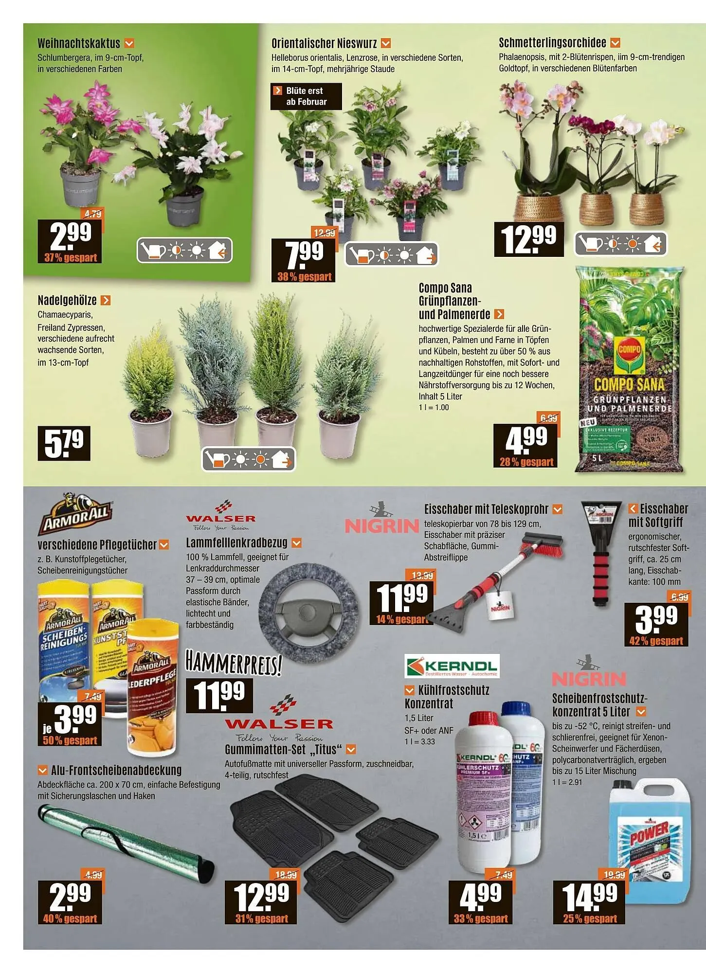 V Baumarkt Prospekt von 13. November bis 20. November 2025 - Prospekt seite 2