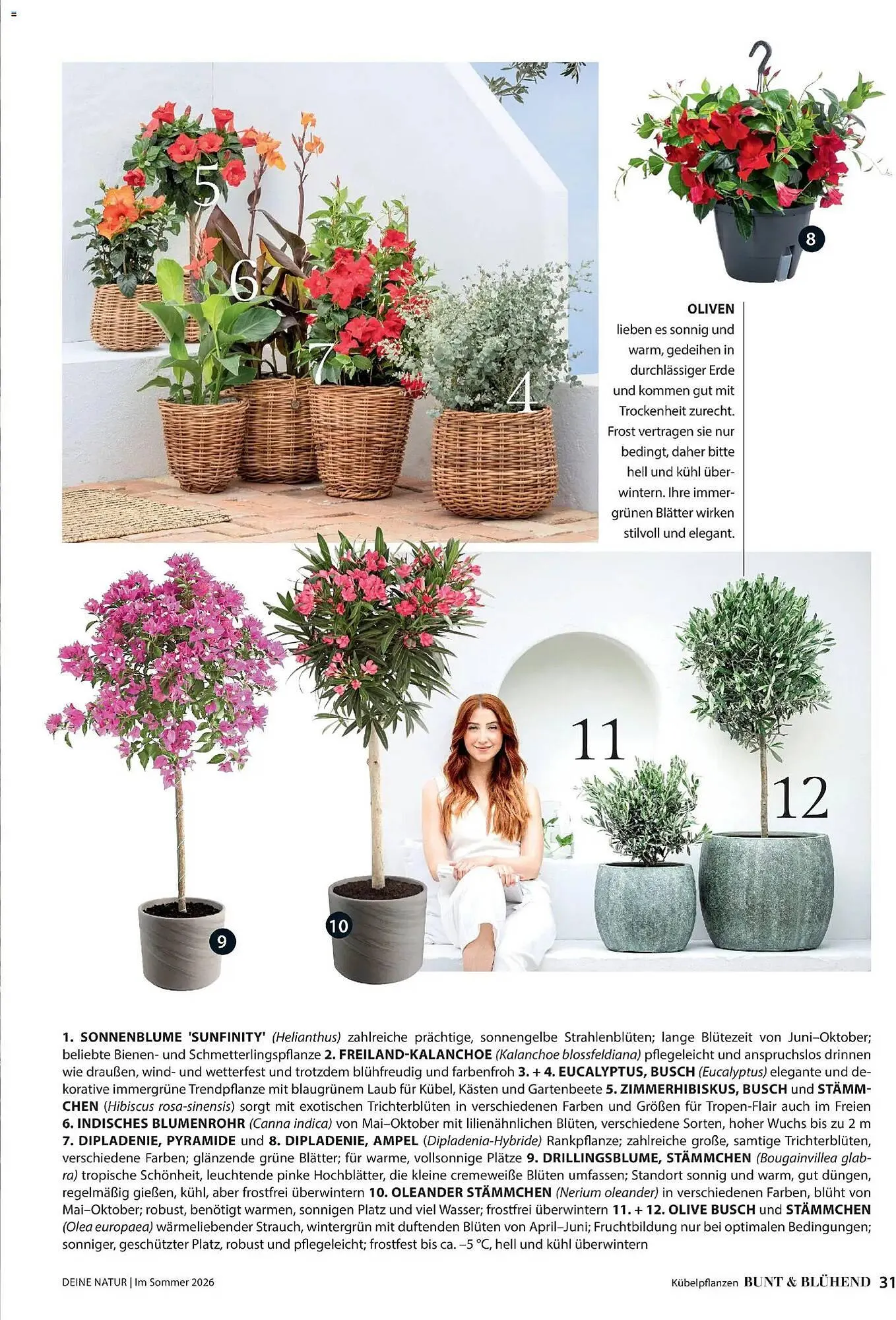 Dehner Prospekt von 17. April bis 31. August 2026 - Prospekt seite 31