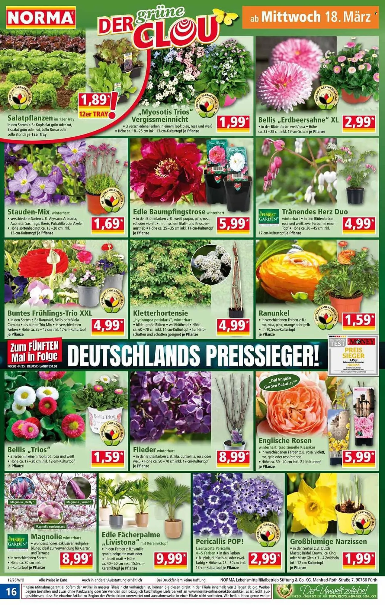 Norma Prospekt von 16. März bis 22. März 2026 - Prospekt seite 16