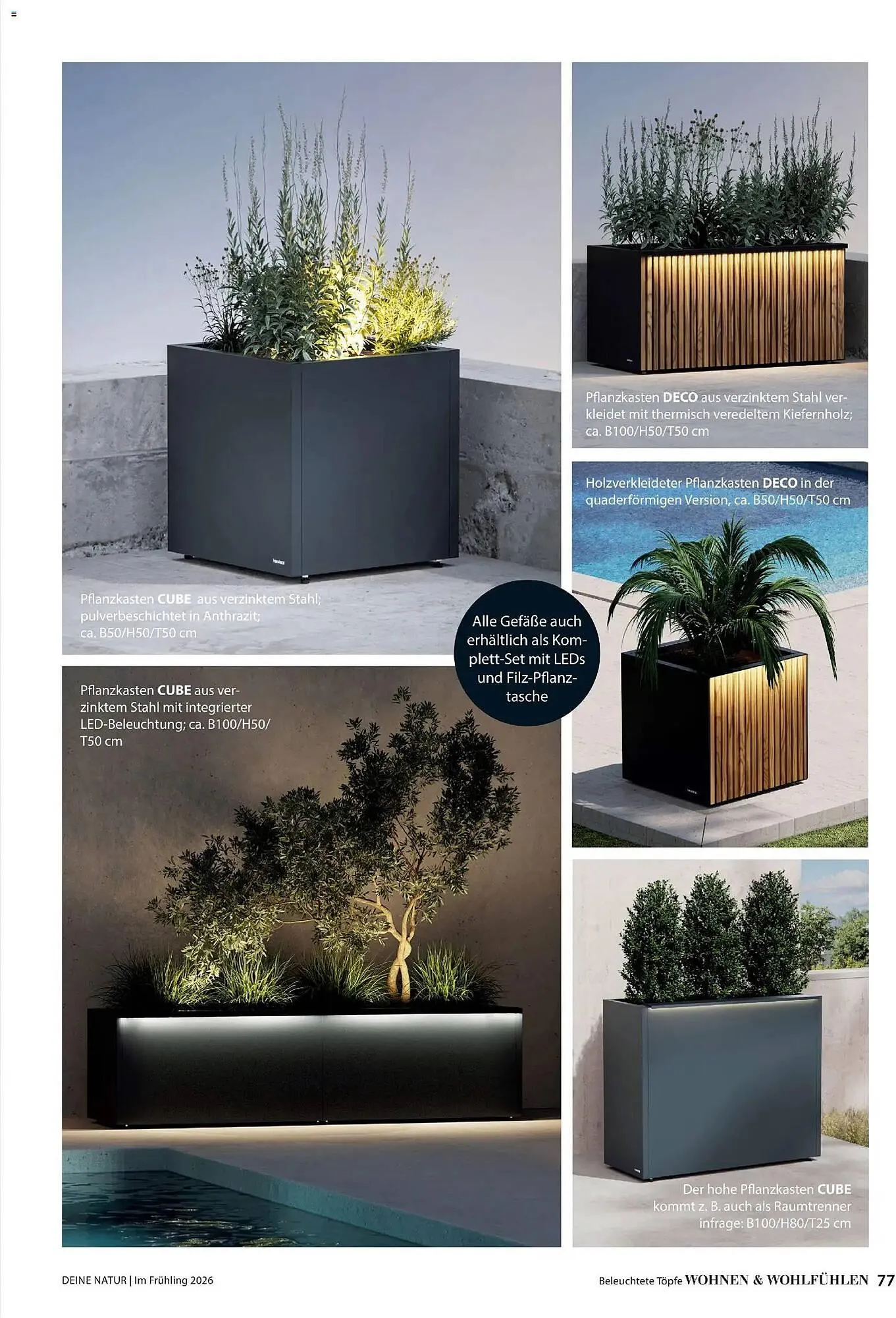 Dehner Prospekt von 4. März bis 31. Mai 2026 - Prospekt seite 77