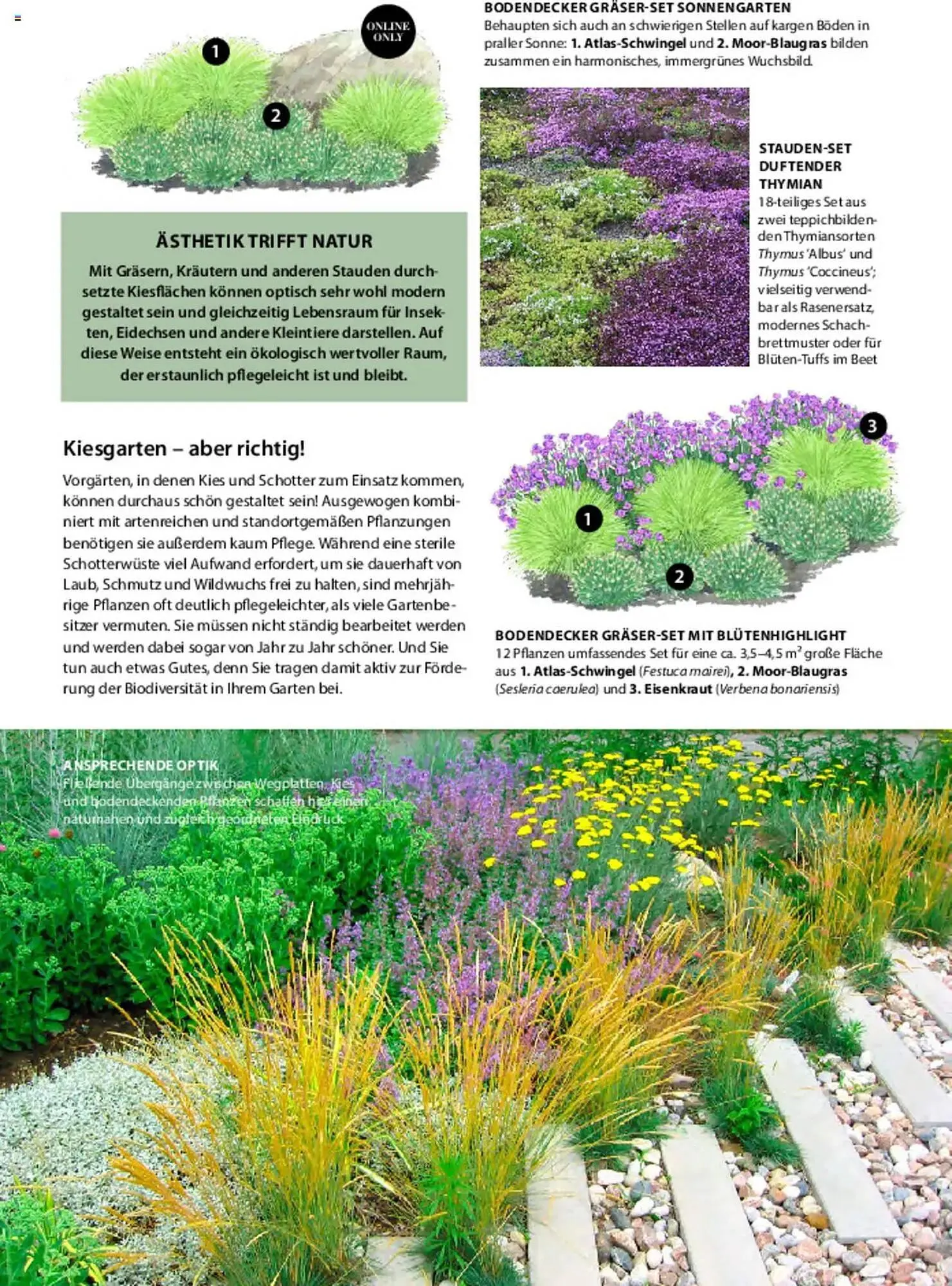 Dehner Prospekt von 6. März bis 9. Juni 2025 - Prospekt seite 63