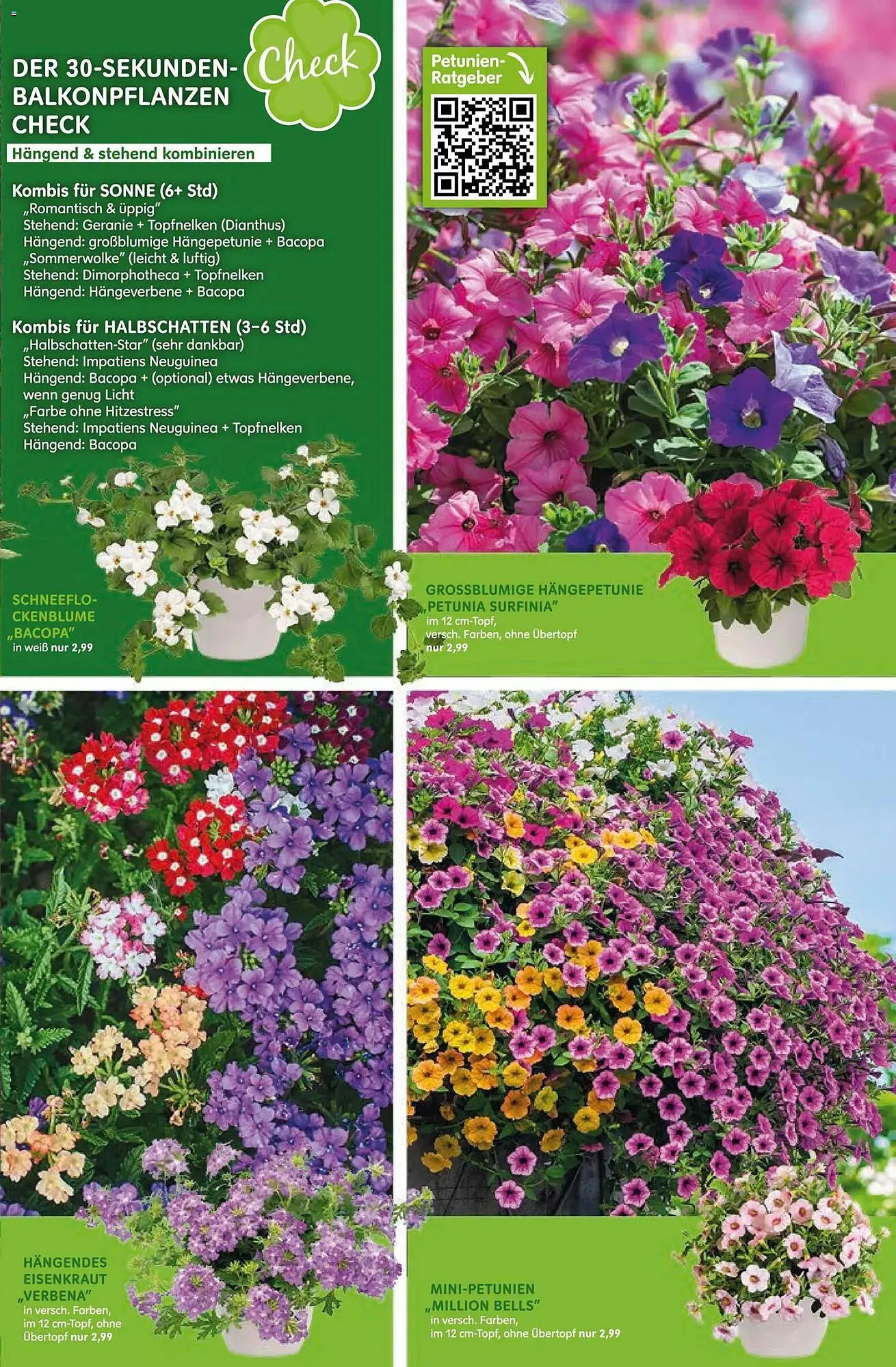 Blumen Risse Prospekt von 16. April bis 26. April 2026 - Prospekt seite 5