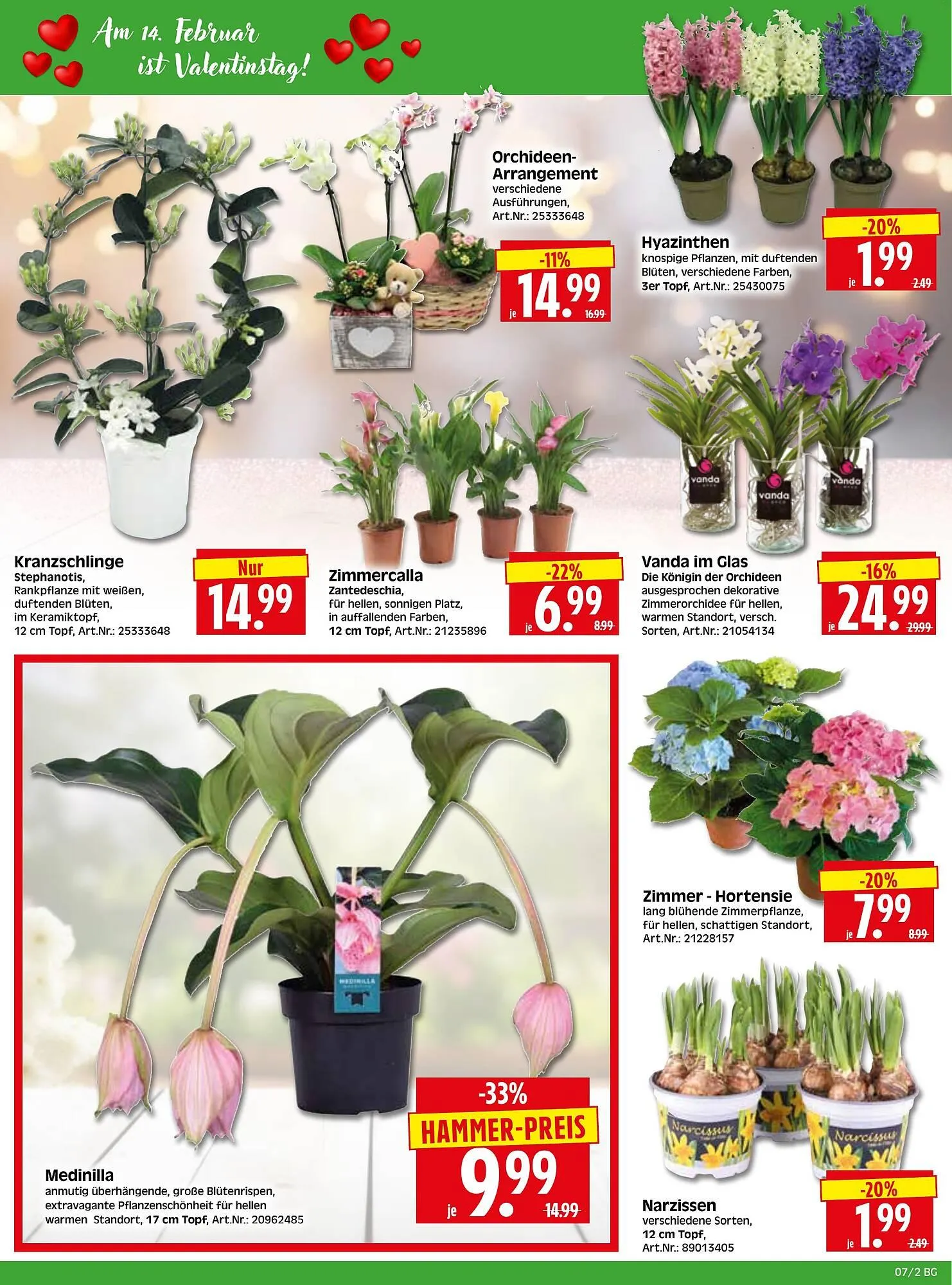 Herkules Baumarkt Prospekt von 9. Februar bis 14. Februar 2026 - Prospekt seite 2