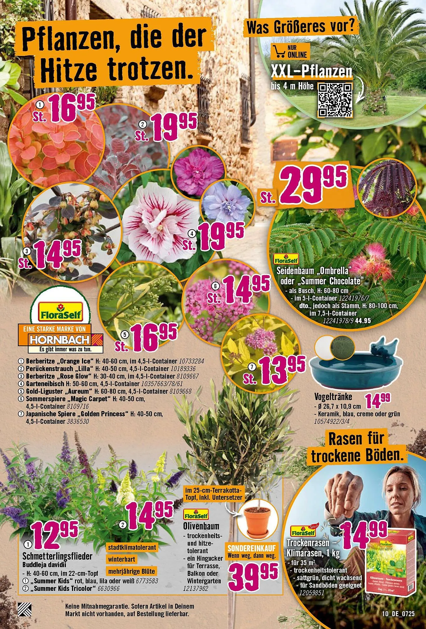 Hornbach Prospekt von 24. Juni bis 22. Juli 2025 - Prospekt seite 13