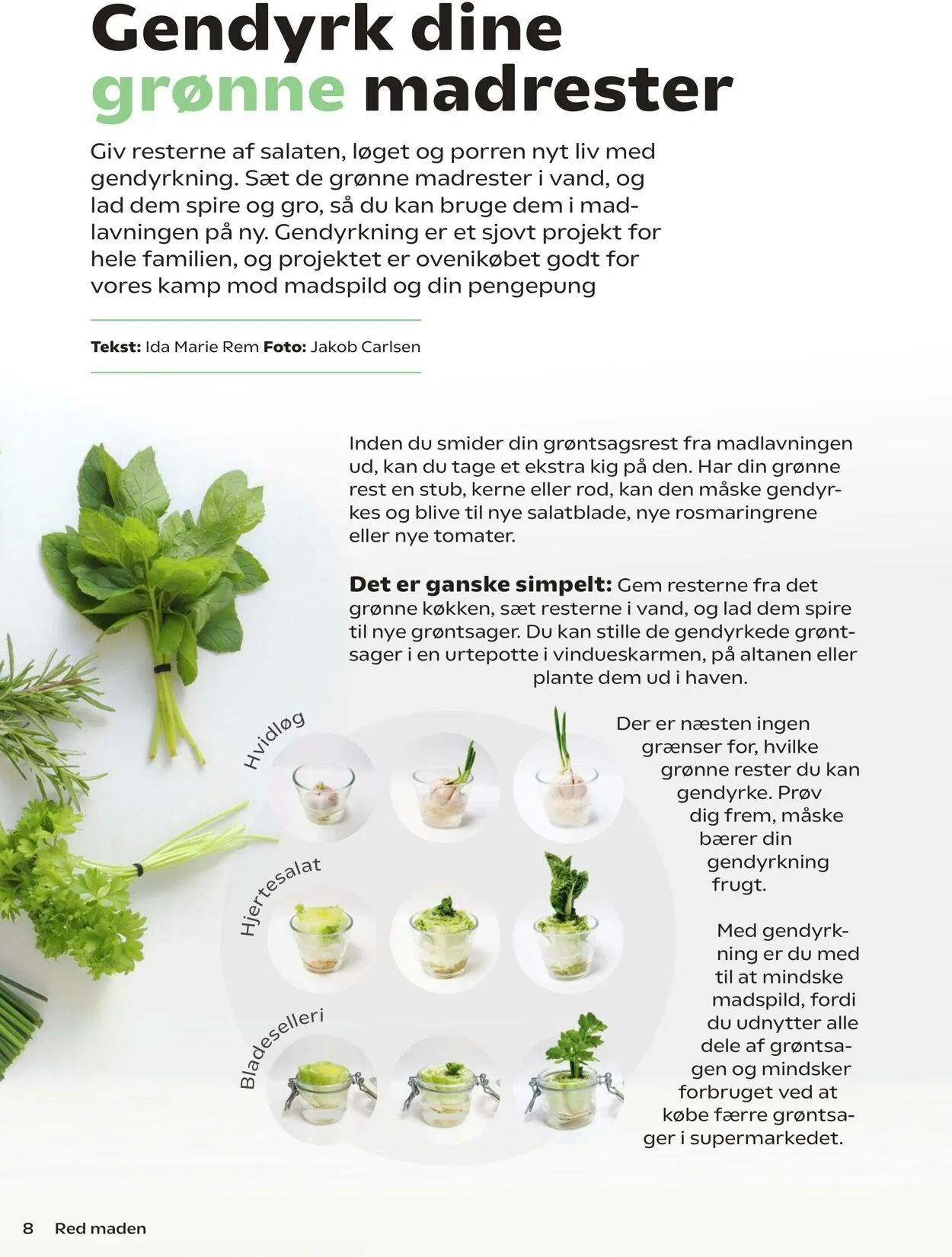 Netto Aktueller Prospekt von 19. September bis 20. September 2026 - Prospekt seite 8