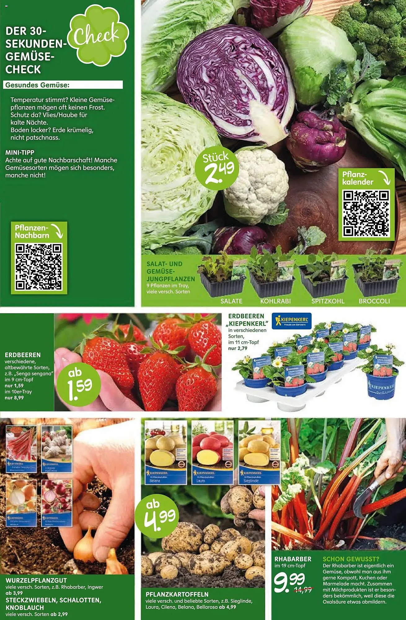 Blumen Risse Prospekt von 12. März bis 22. März 2026 - Prospekt seite 5