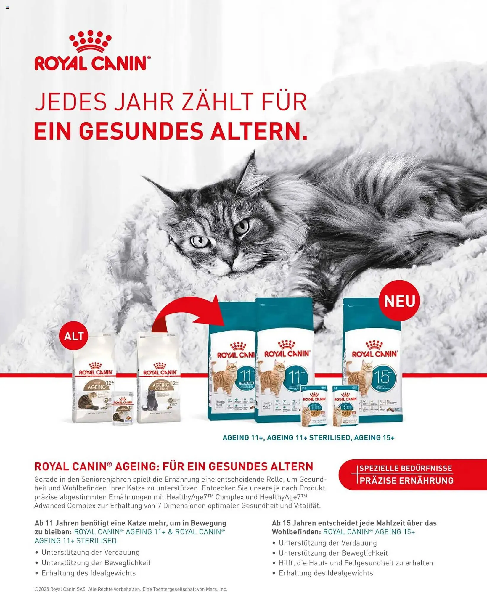 Fressnapf Magazin von 1. November bis 31. Dezember 2025 - Prospekt seite 29